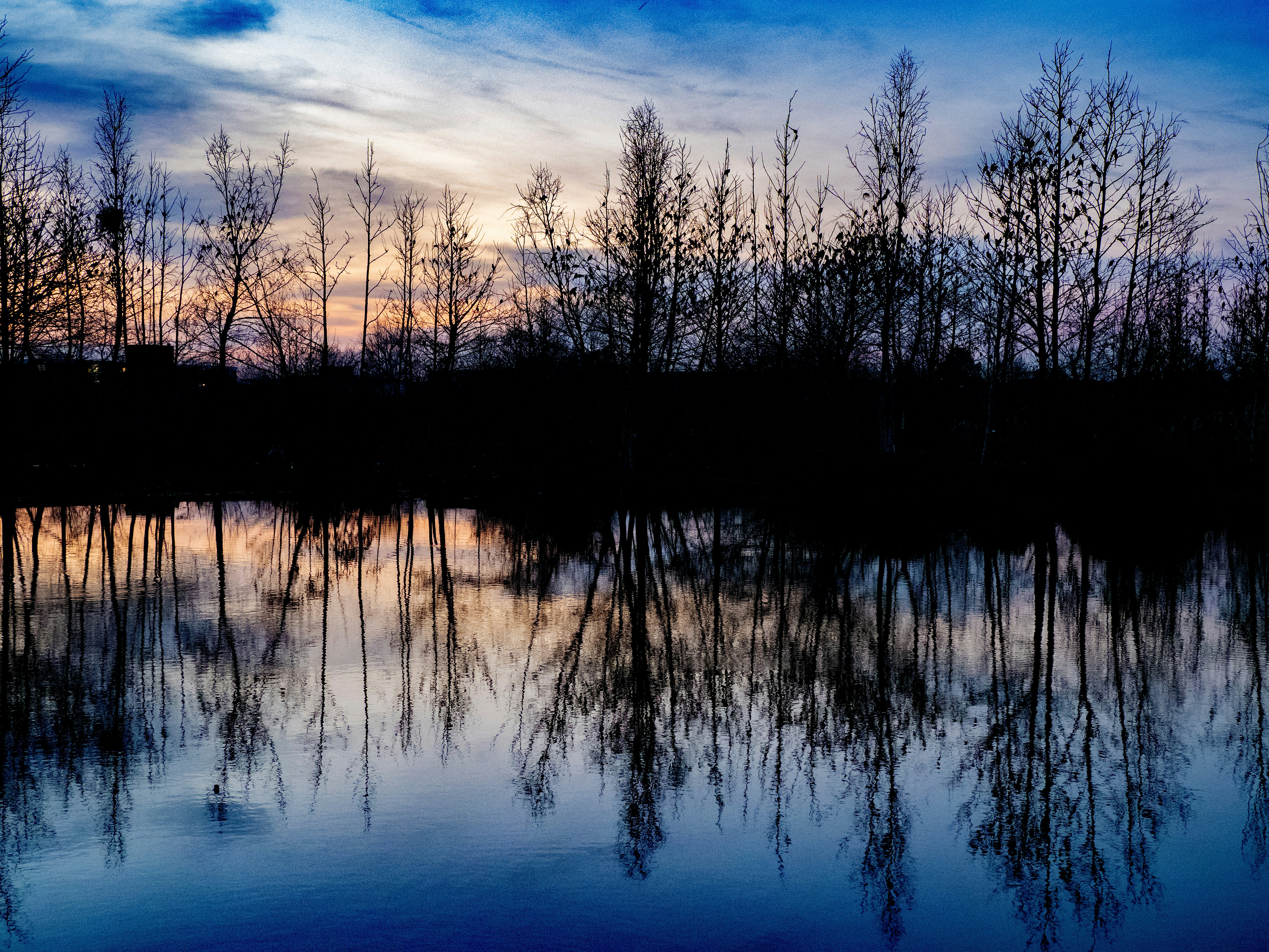 Photo by brett_jordan