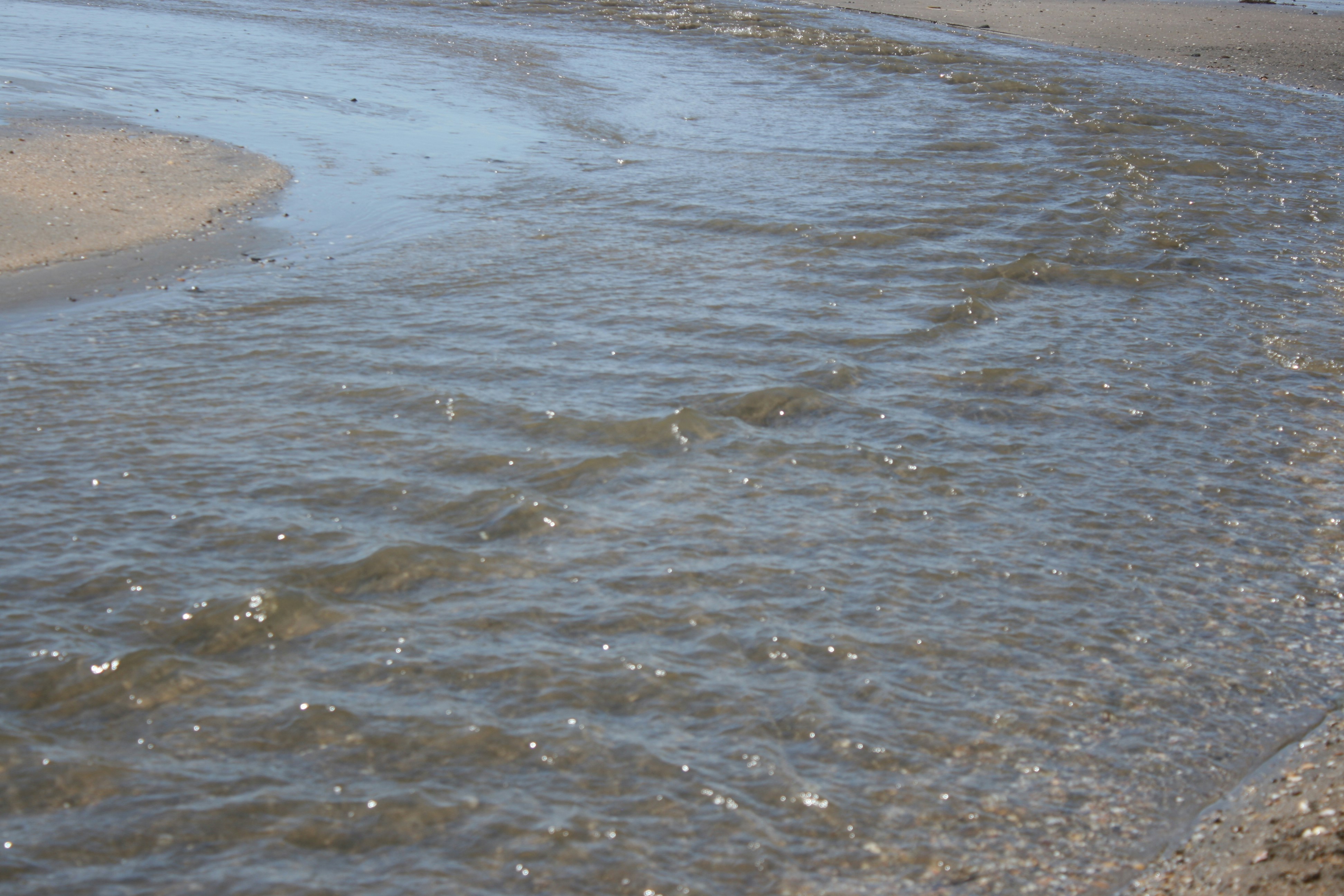 Photo by insert_username_here__