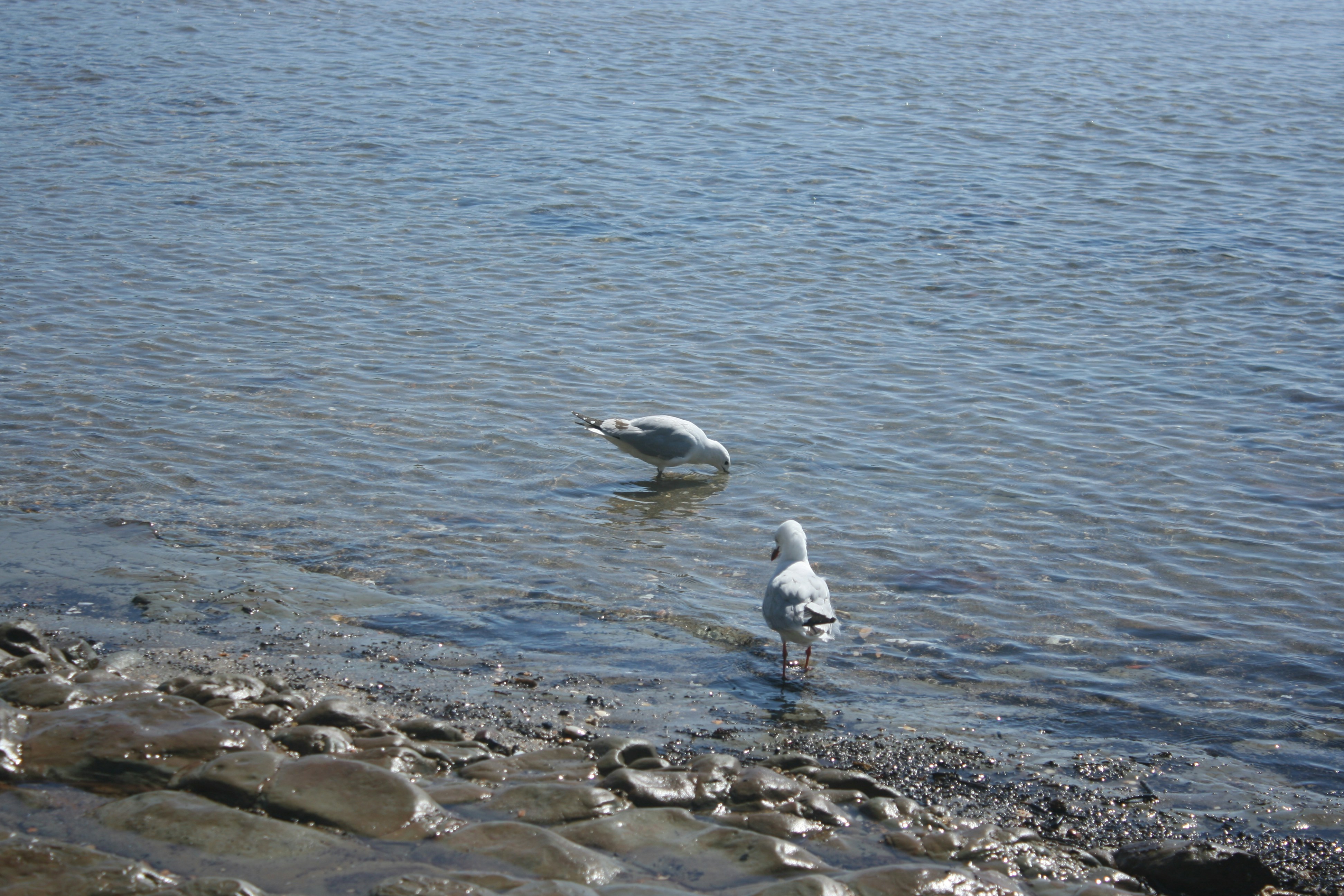 Photo by insert_username_here__