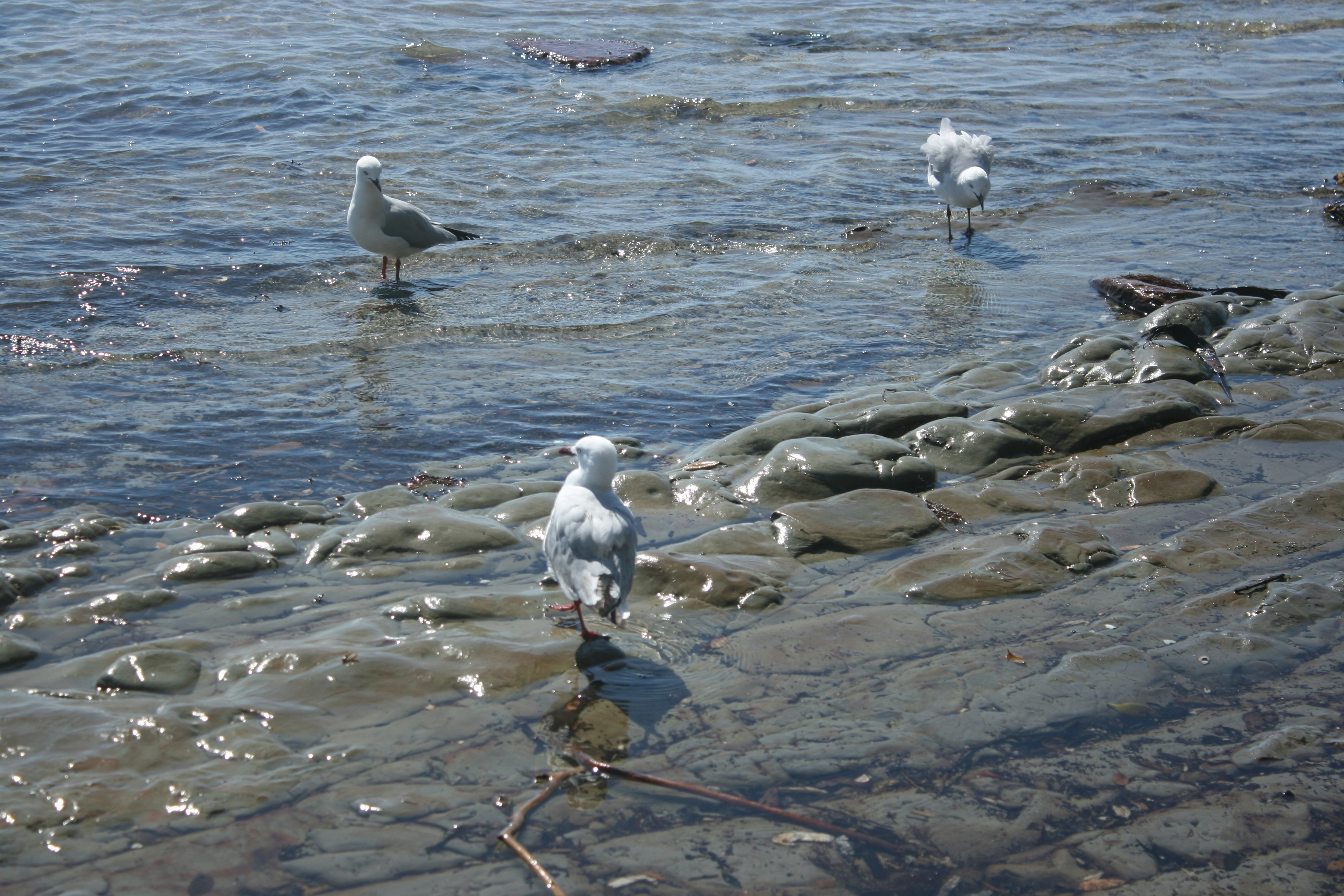 Photo by insert_username_here__