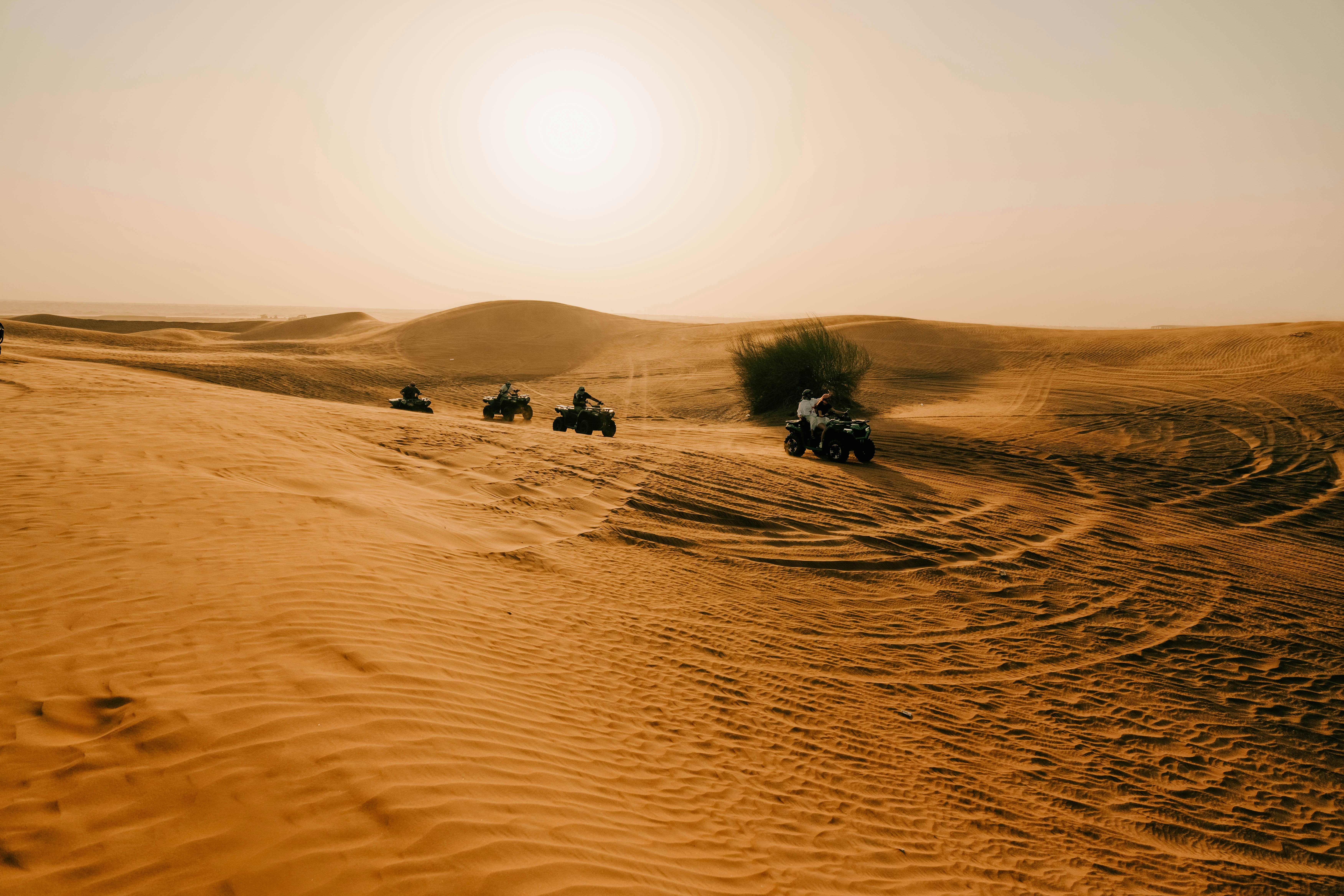 Atvs ride through a vast, golden desert landscape.