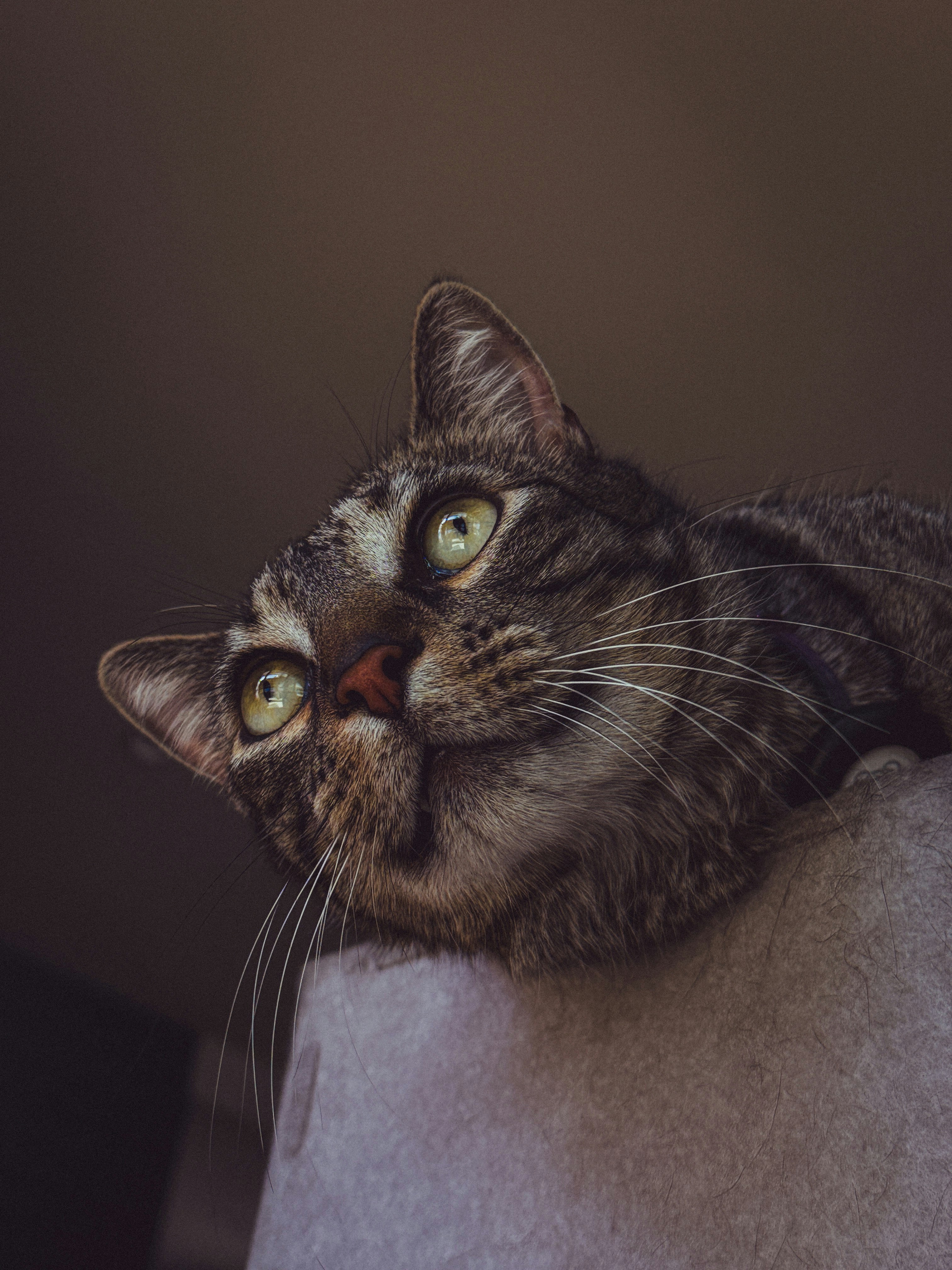 Photo by esteban__chinchilla