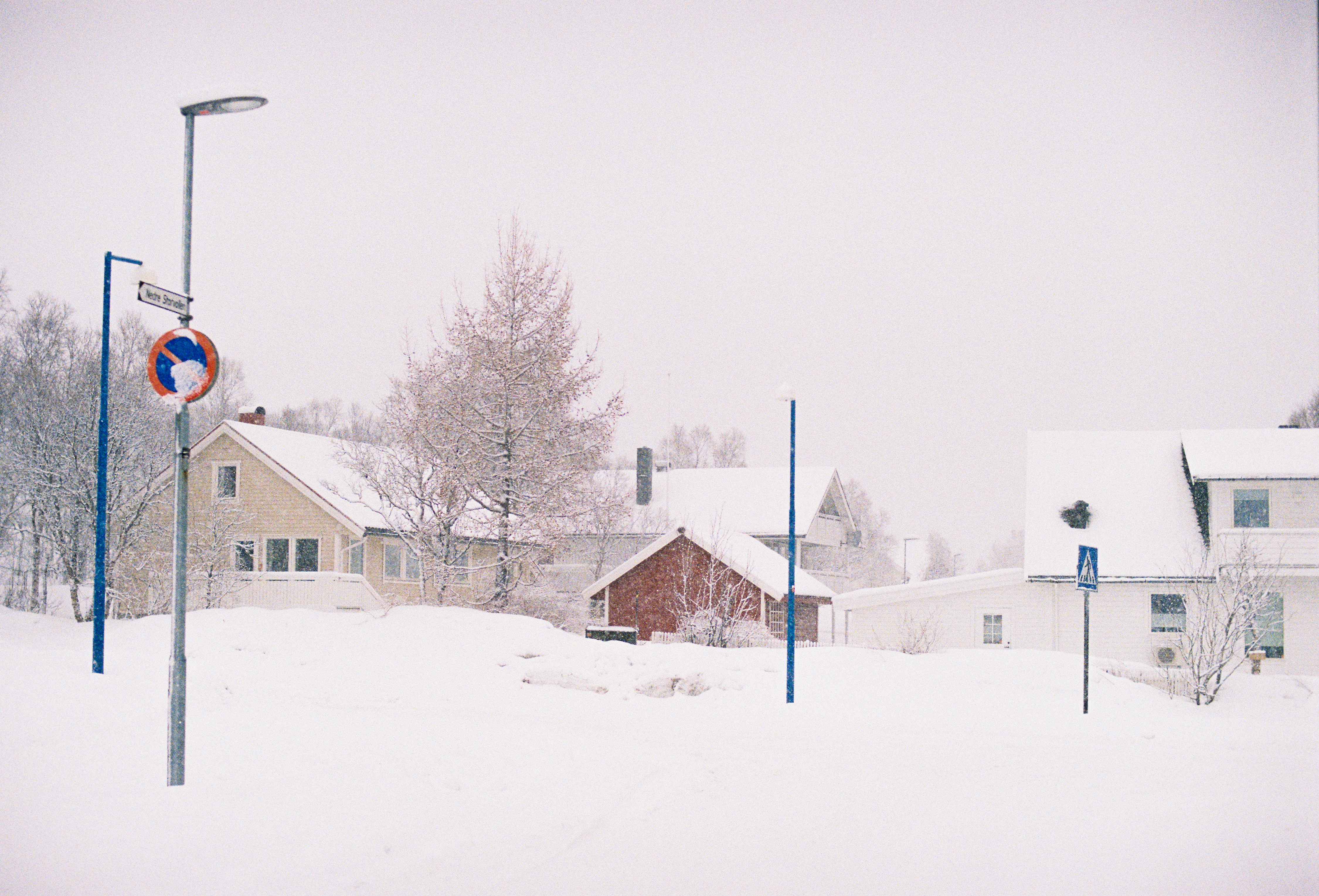 Abisko, Sweden (Aurora Sky Station) - None