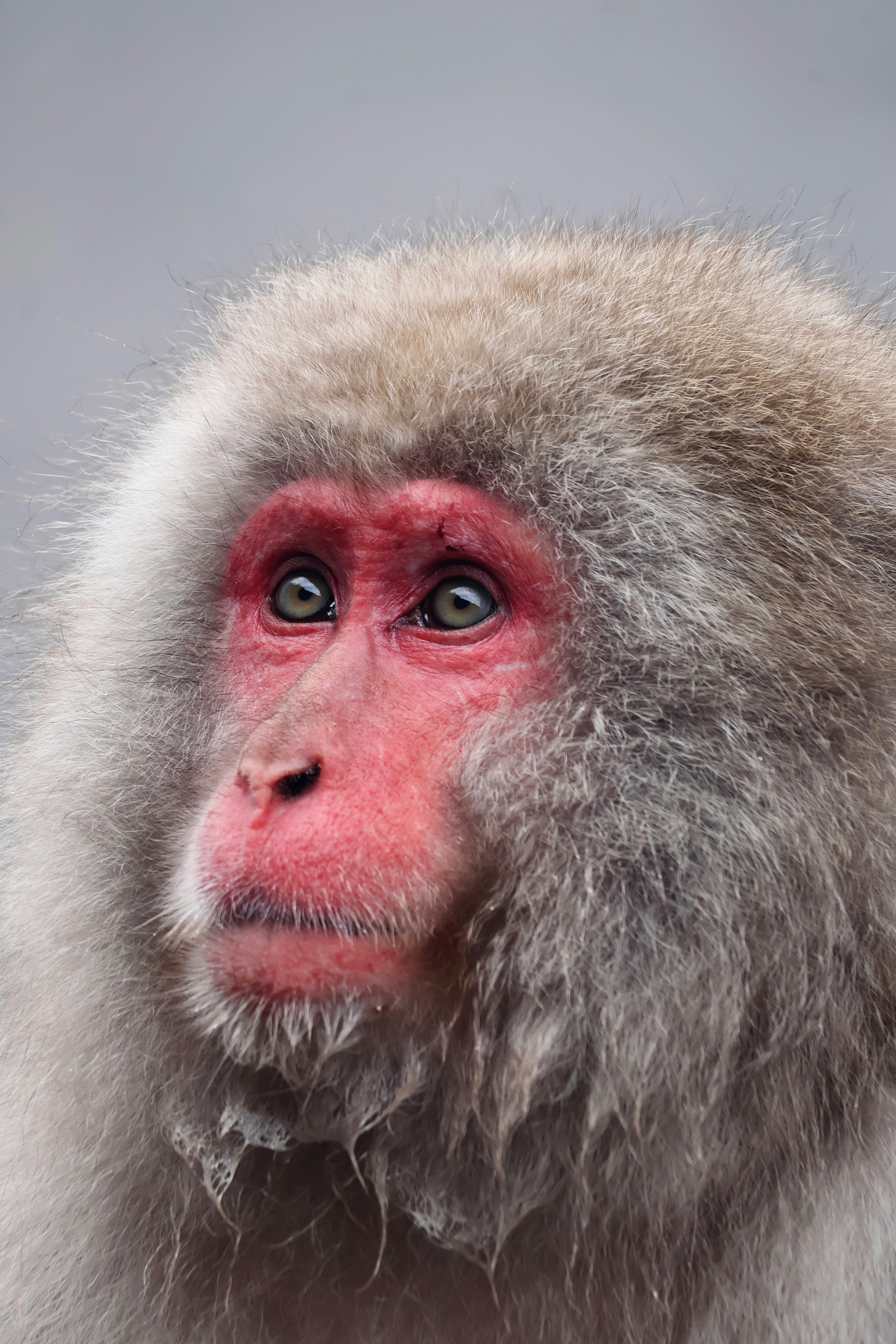 Photo by danielpelaezduque