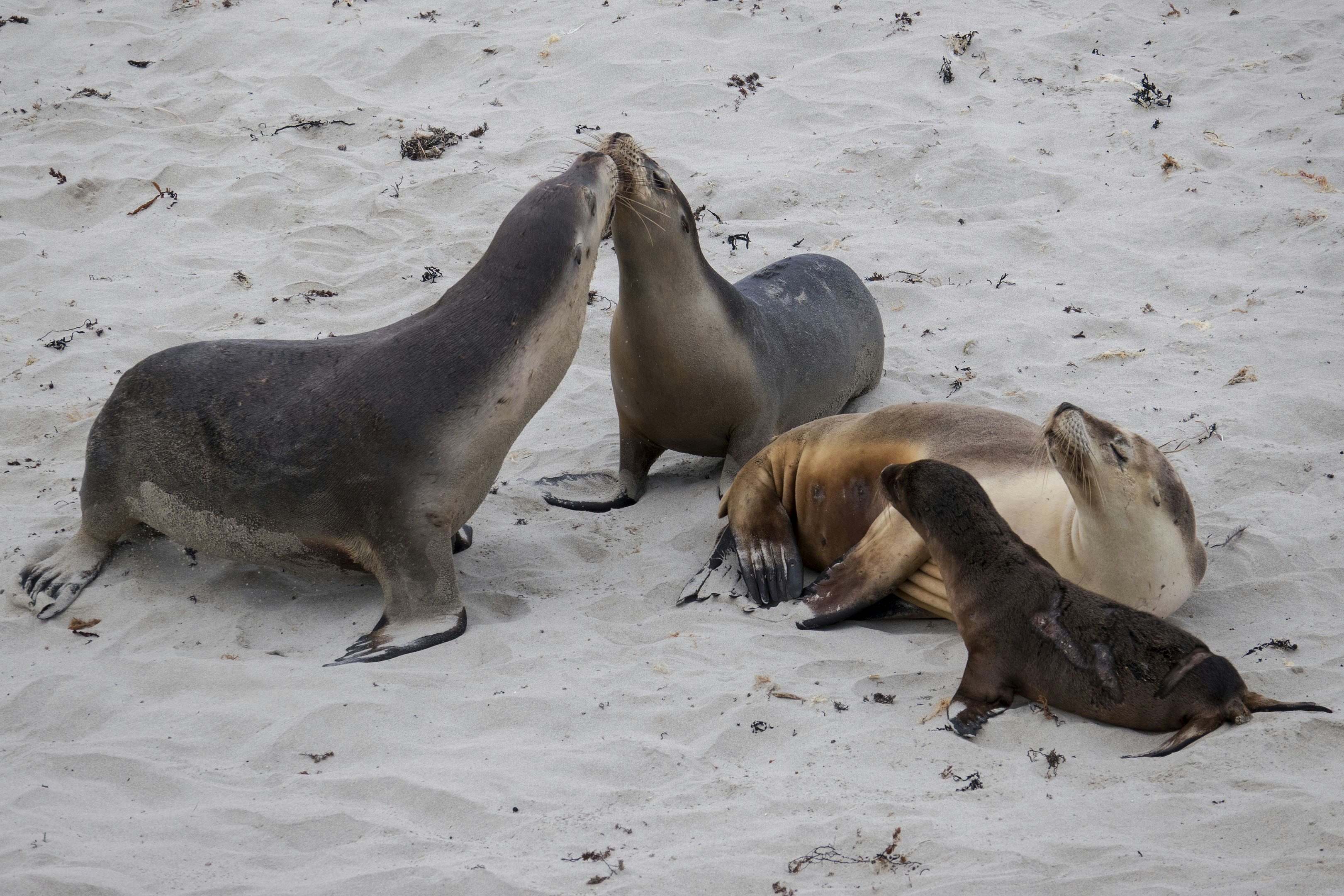 Dave and Buster's - Green Bay