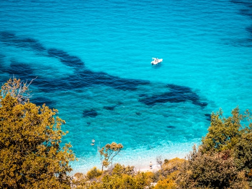 Beautiful turquoise water with a boat and greenery.