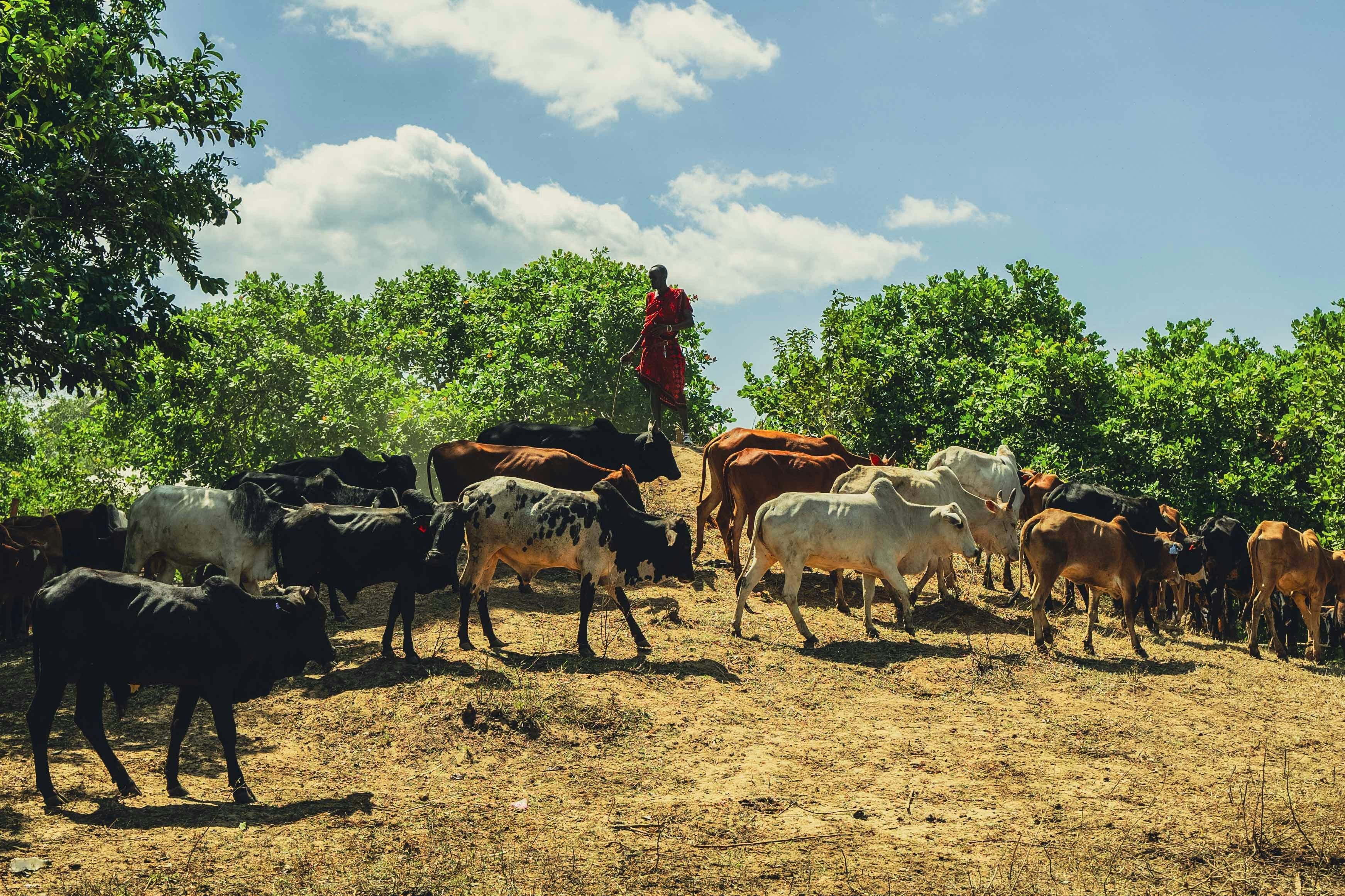 Photo by ismailaslandag