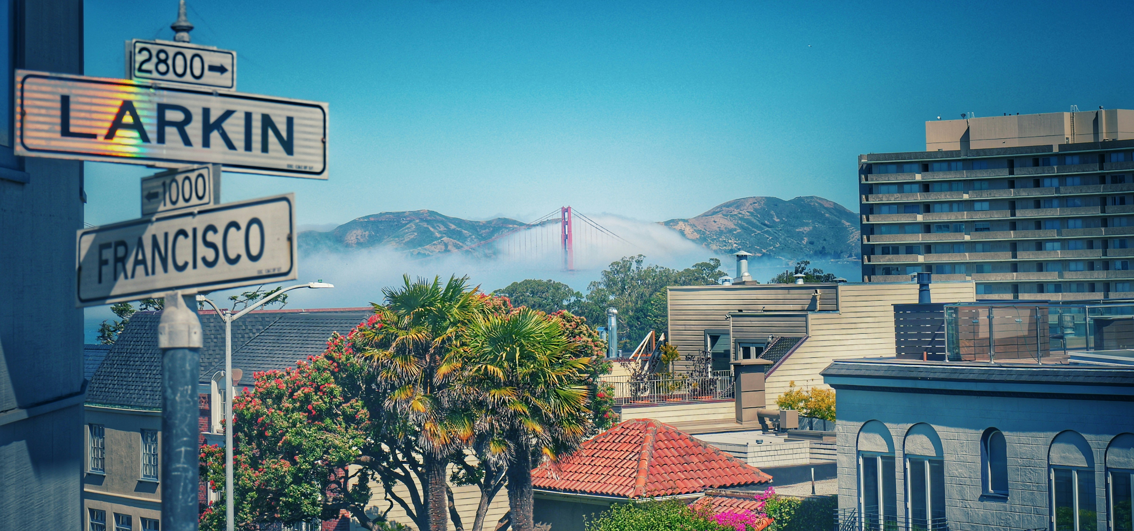 The streets of San Francisco, taken on vacation.