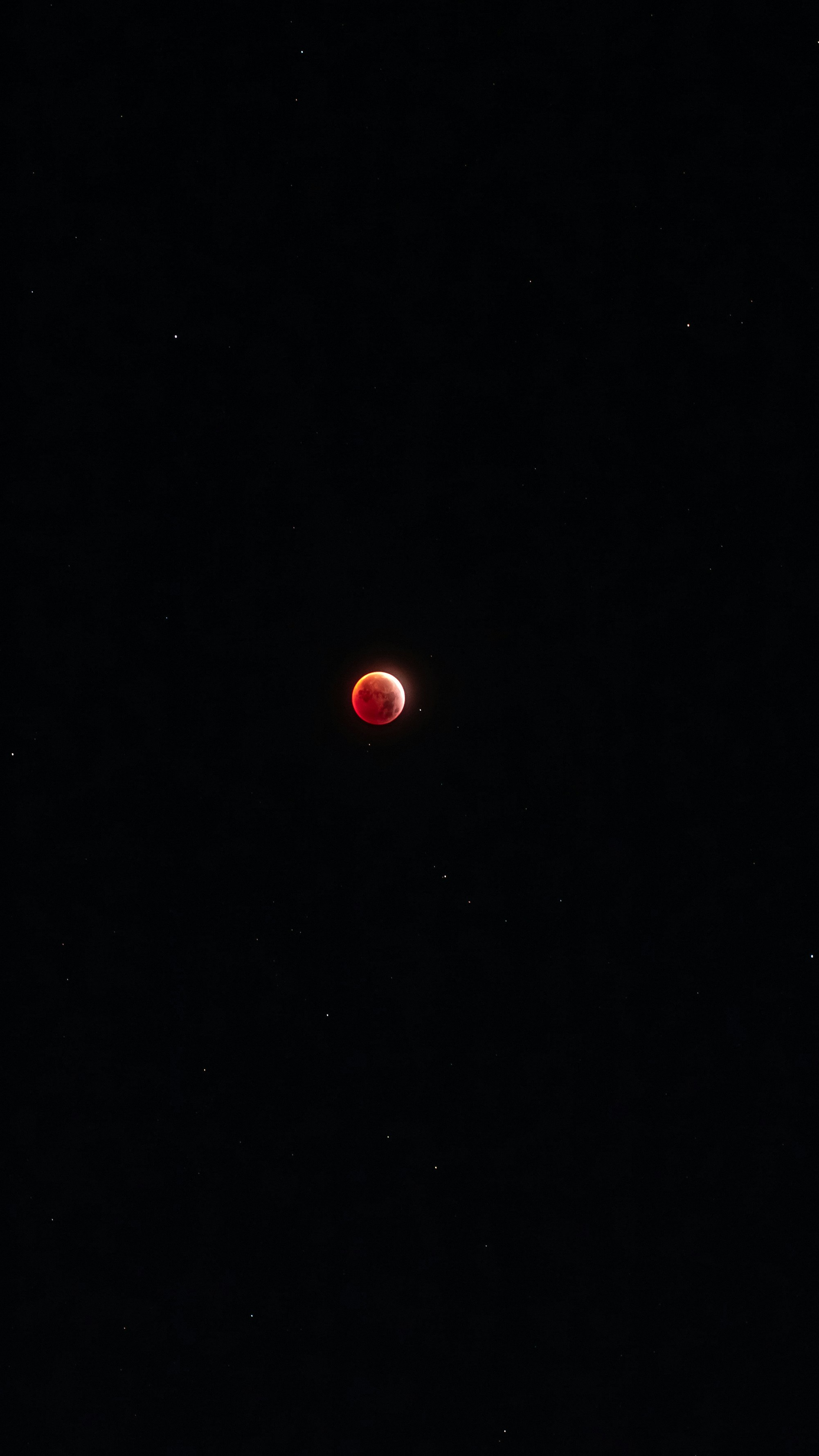 A blood moon shines amidst the stars.