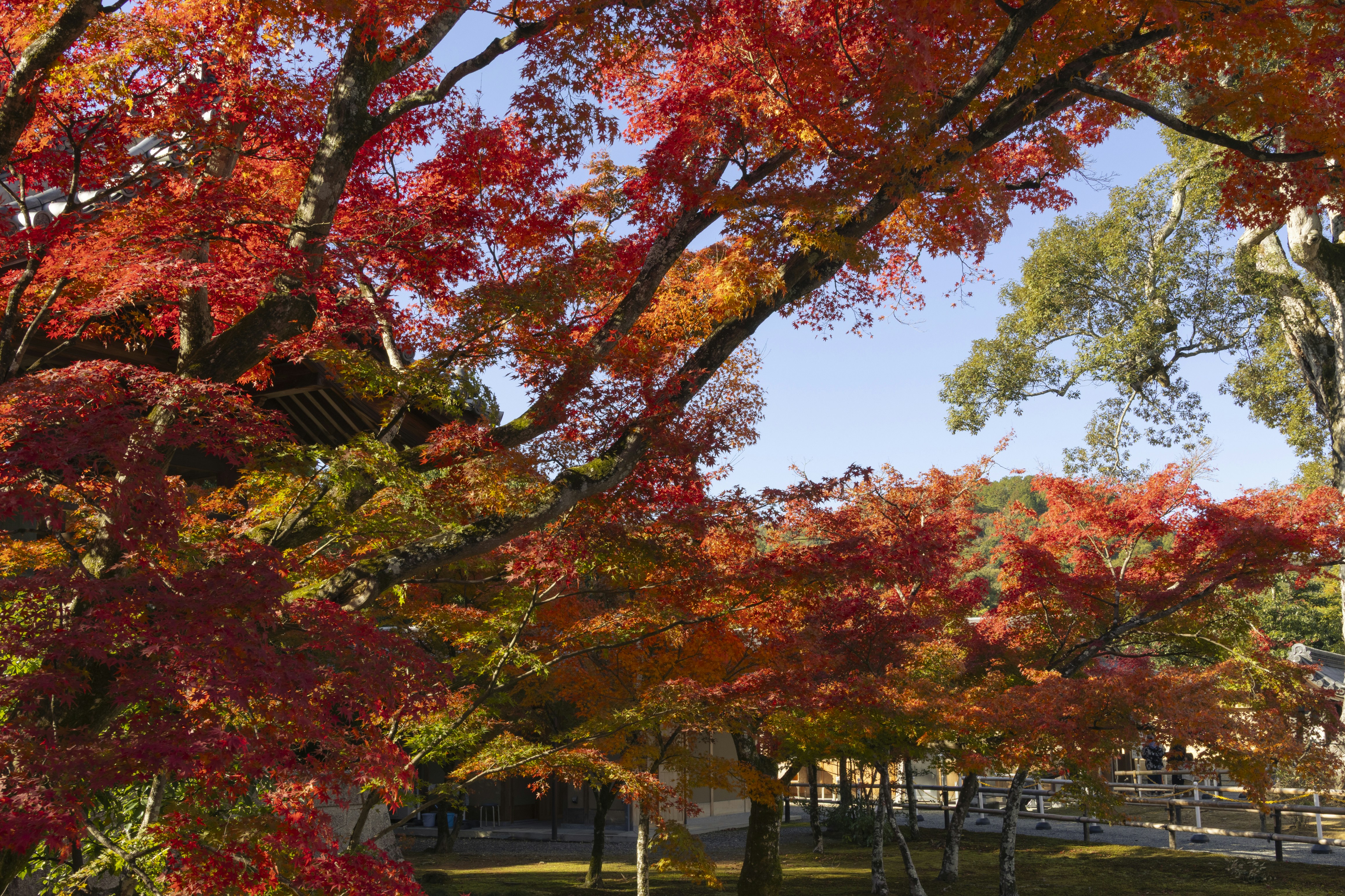 Photo by charlie1224