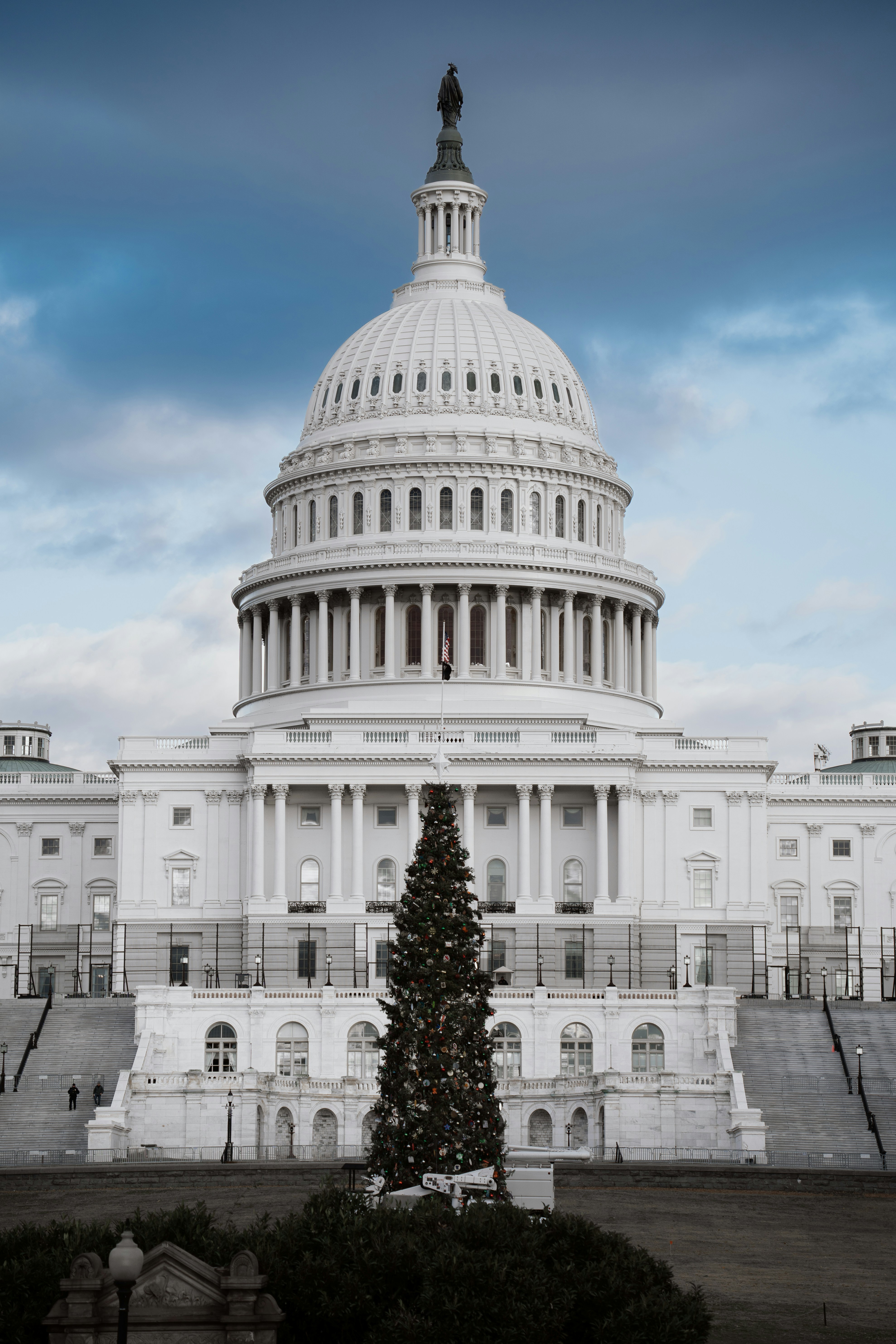 The u.s. capitol building has a christmas tree.