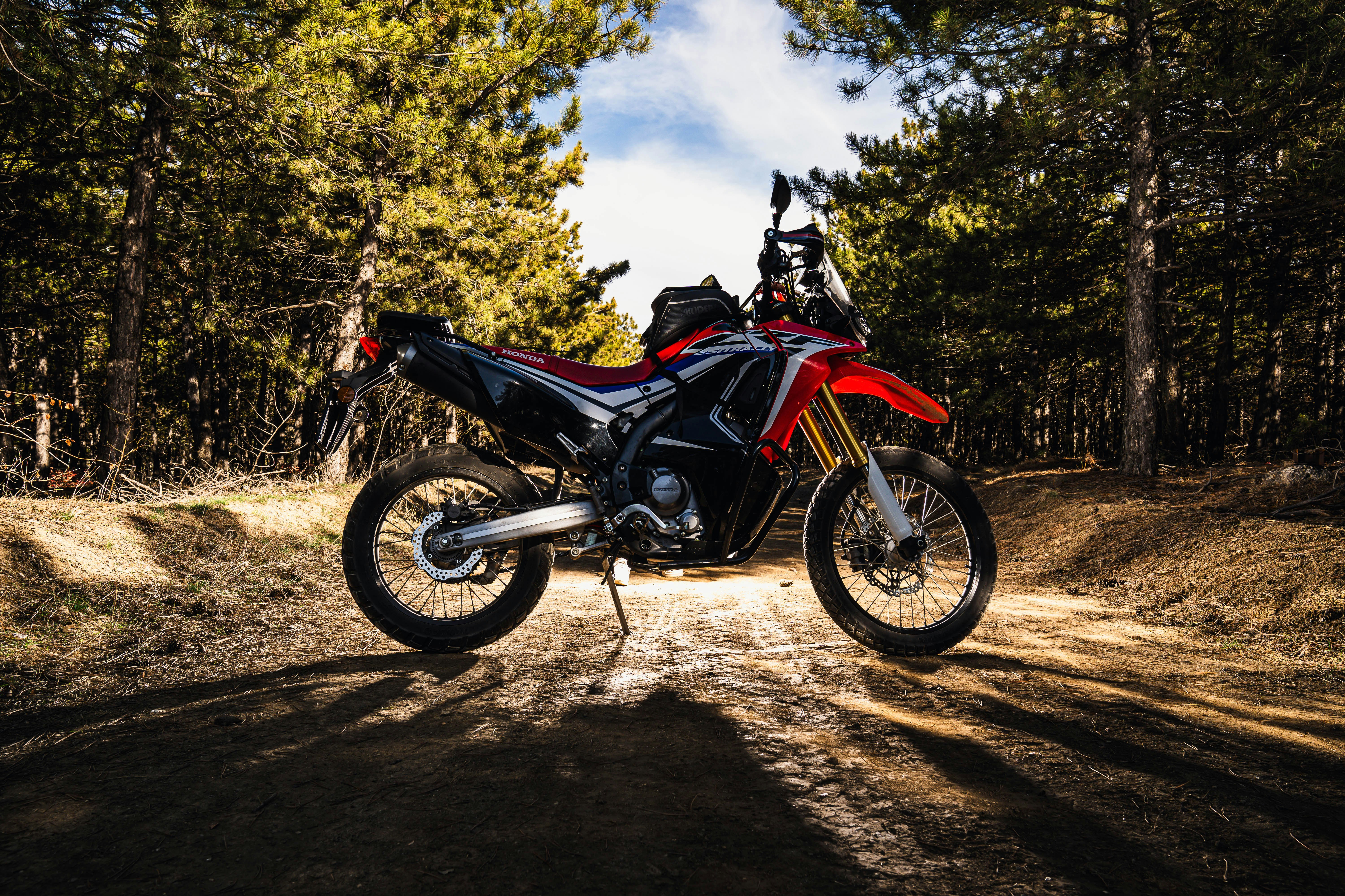 A motorcycle sits on a forest trail.