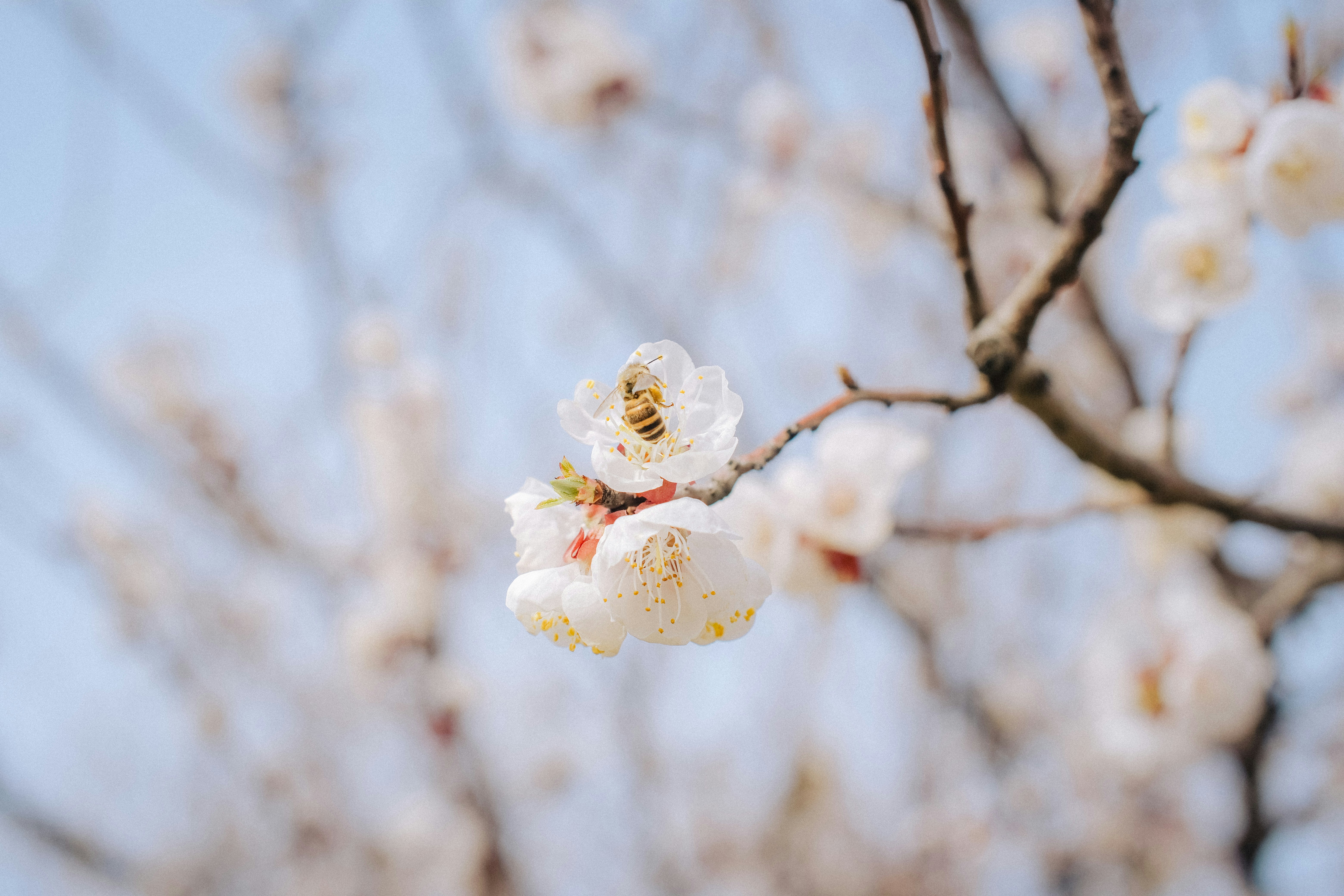 Photo by photohunter