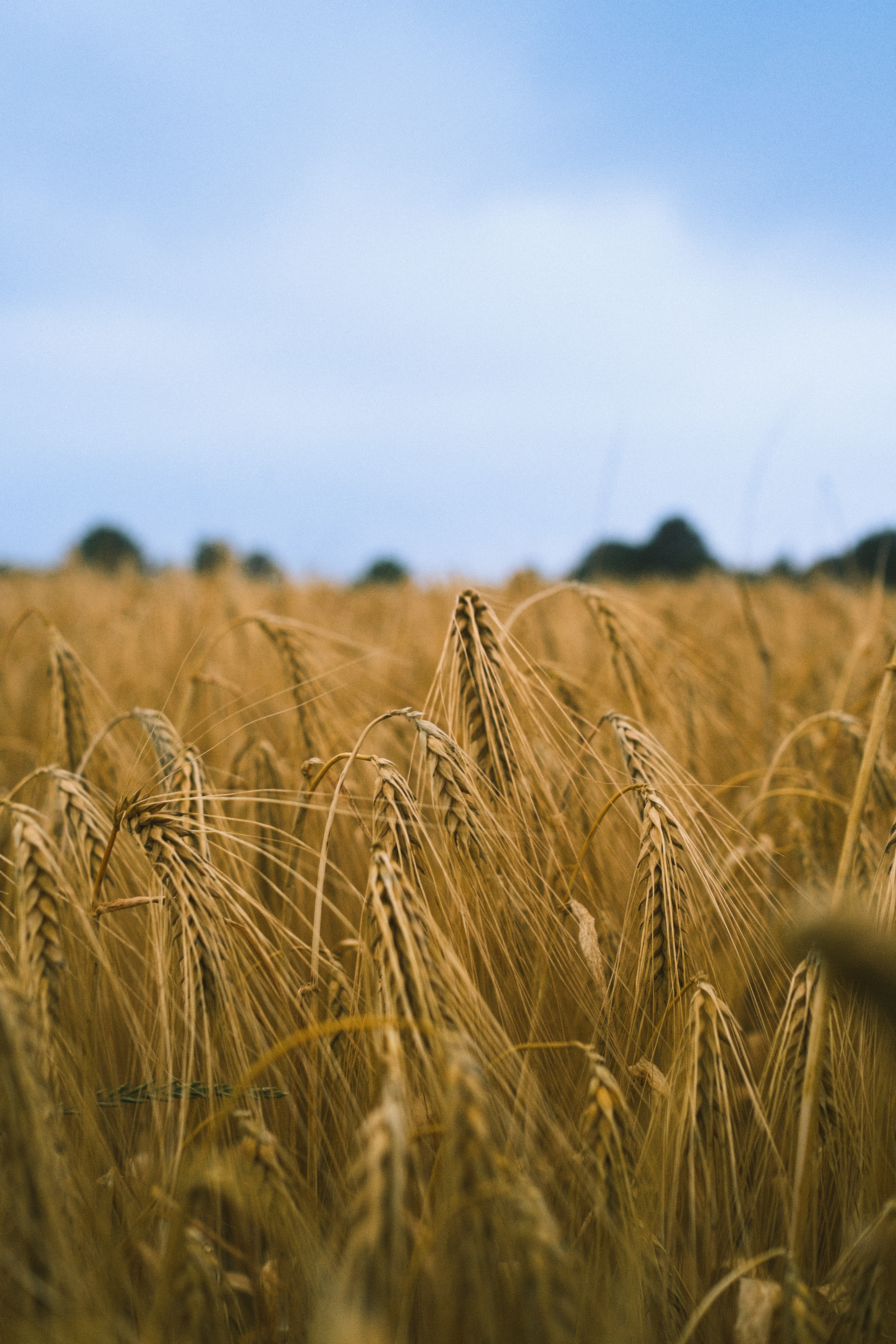 Photo by visualsbying