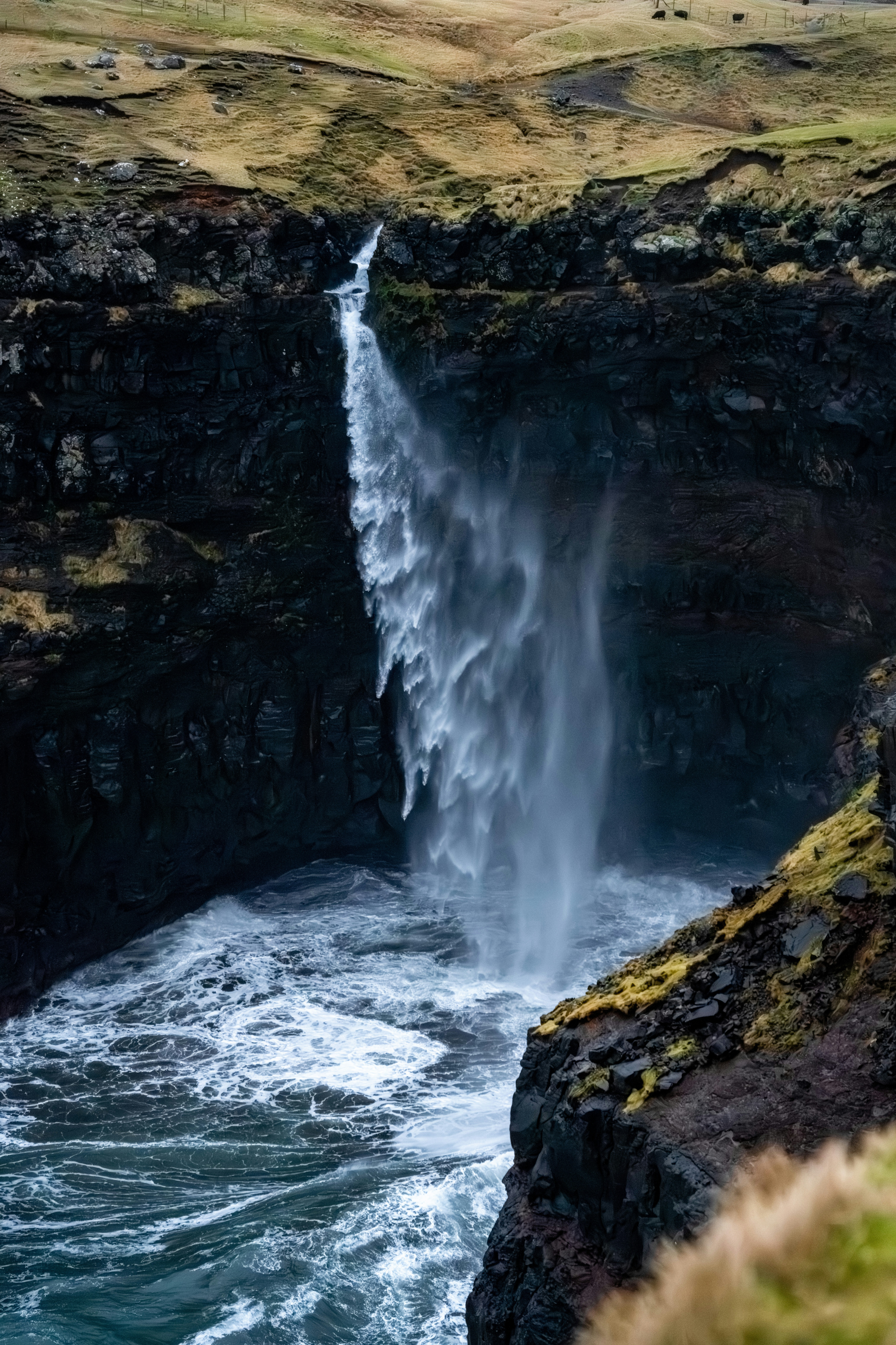 Photo by skyhung1228