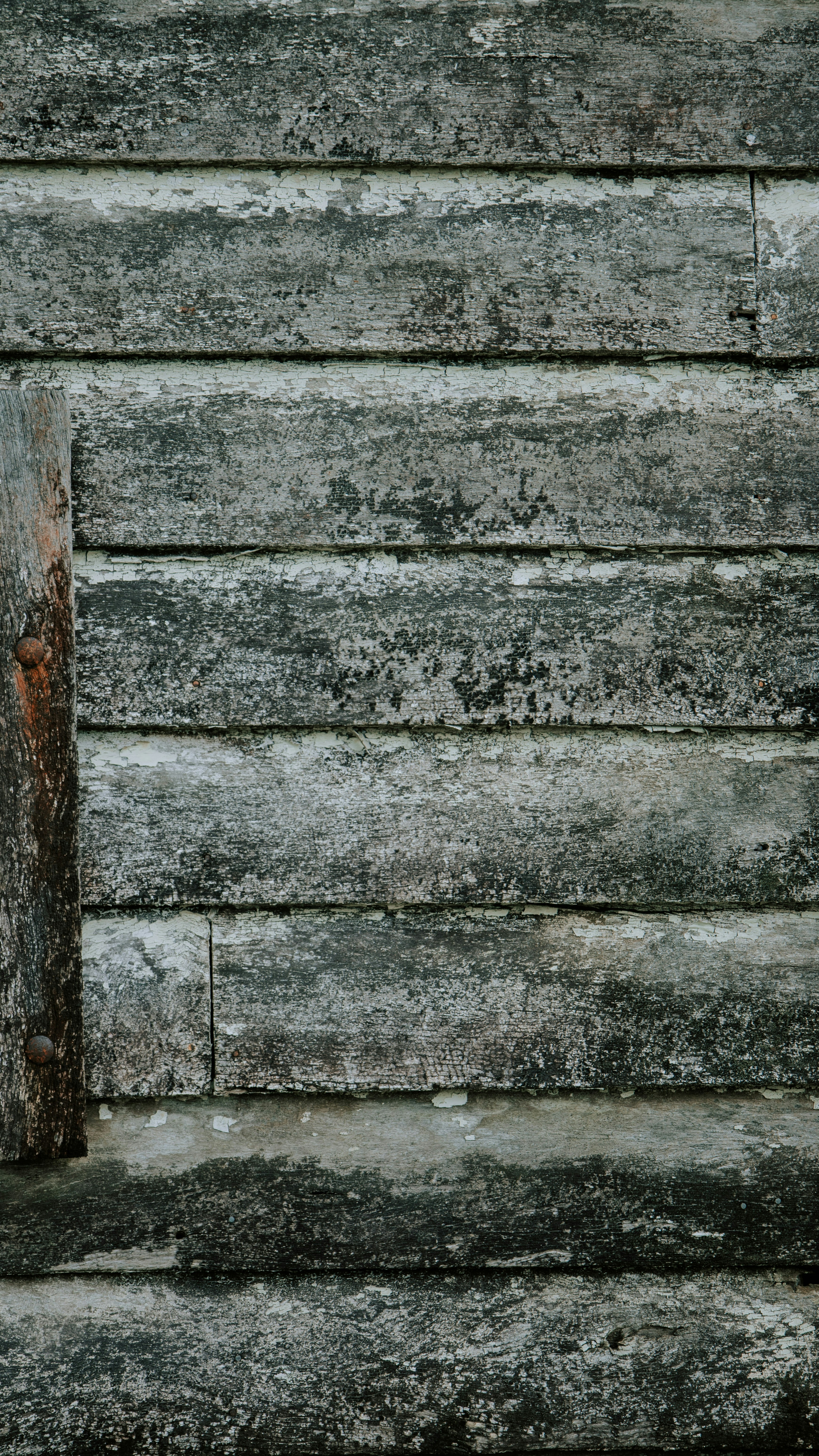 Photo by cameronjensen