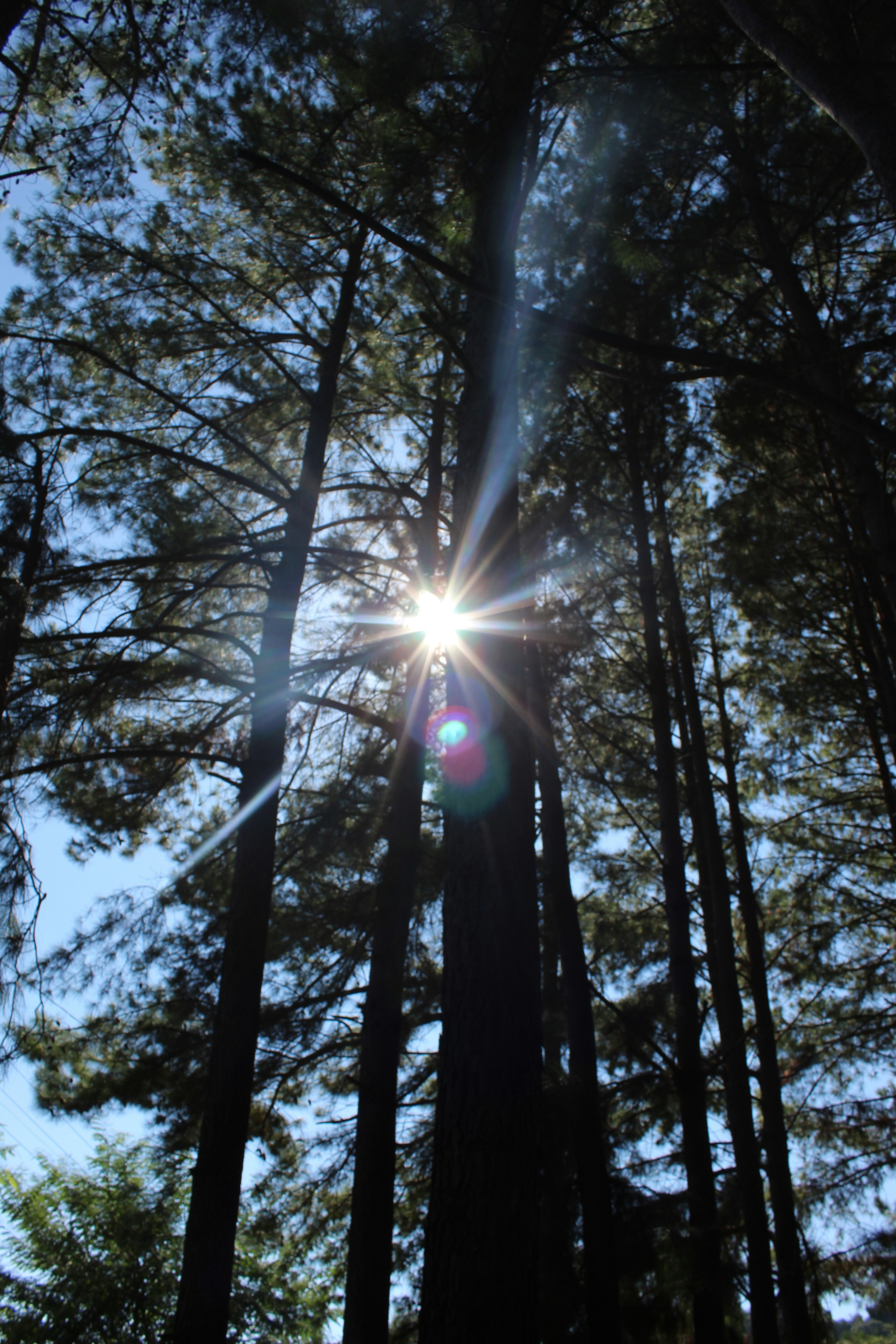 Photo by anascheffer