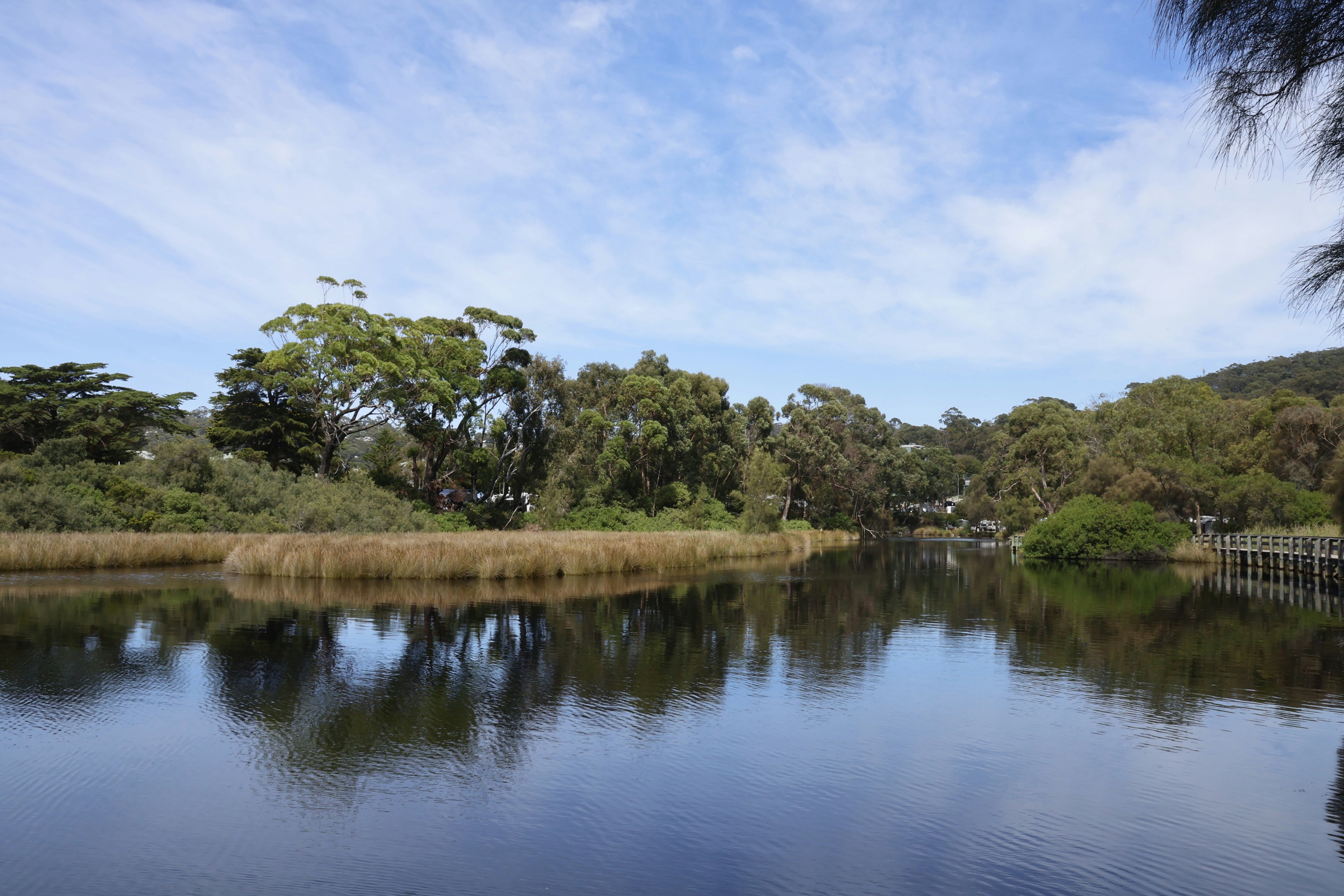 A calm lake reflects the lush, green trees.
