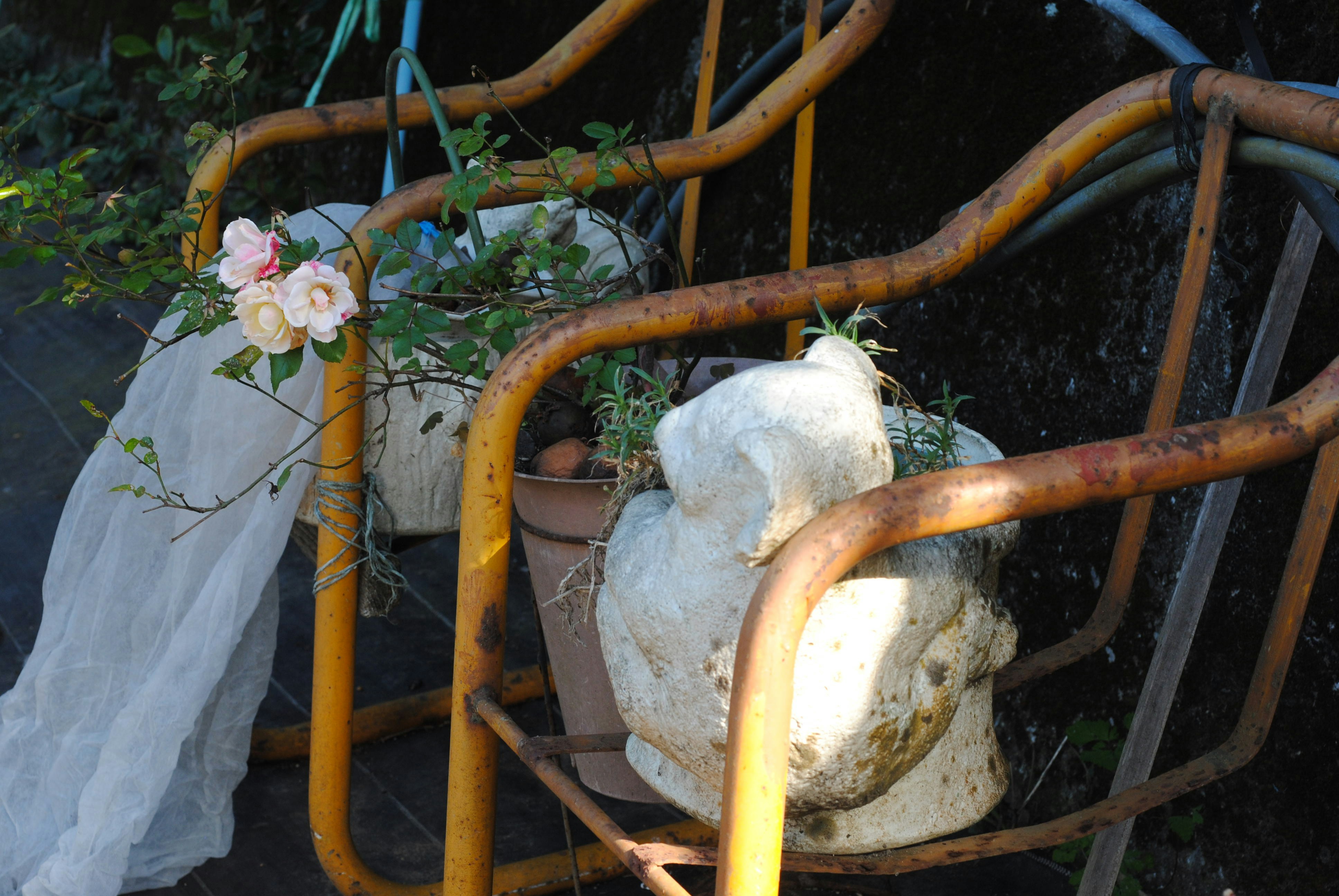 Girouette intégrée dans un jardin fleuri