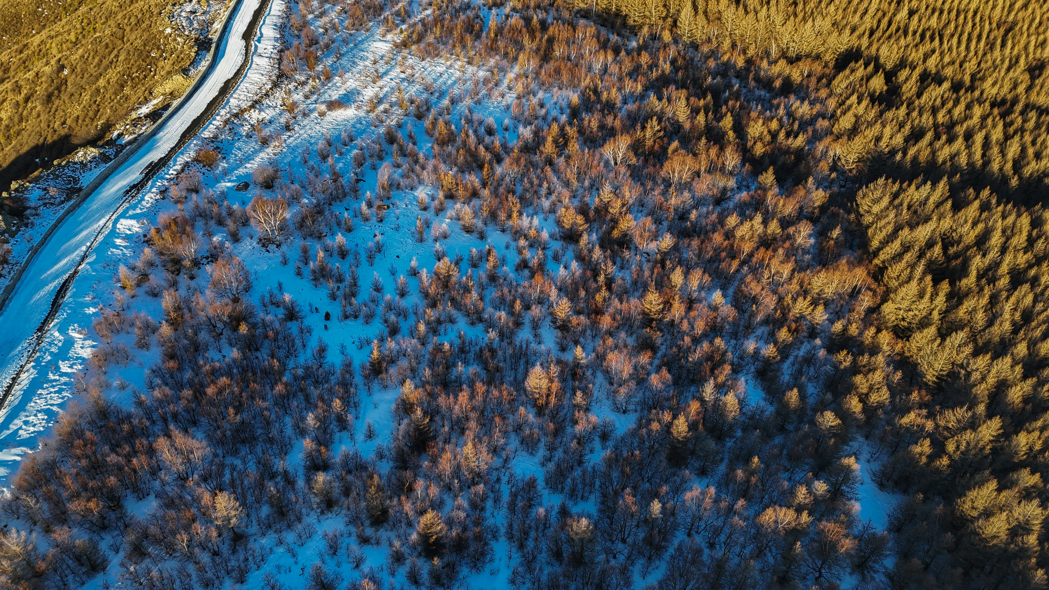 Snow covers parts of a forest landscape.