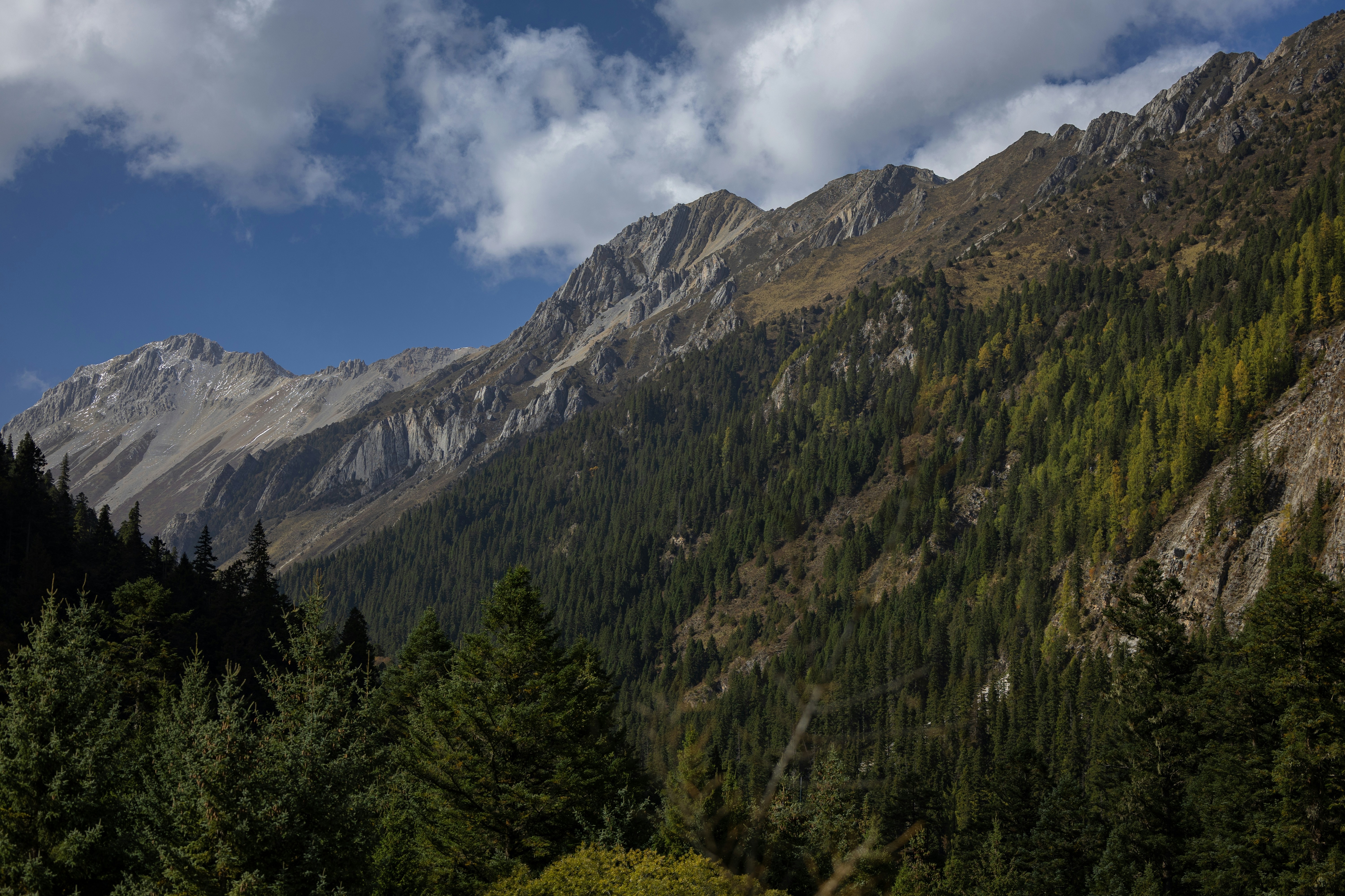 Mountain range covered with trees under a cloudy sky.