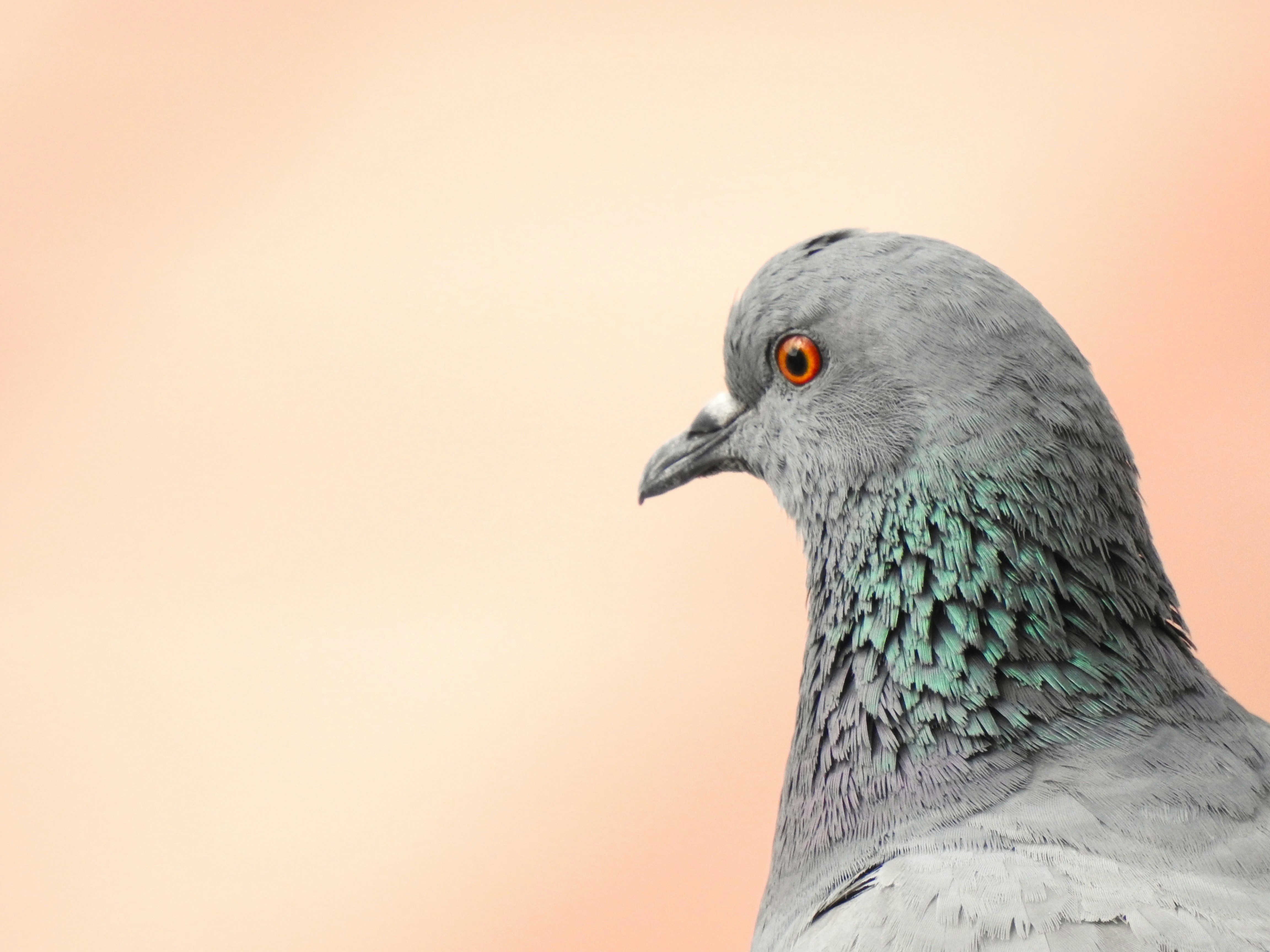 Photo by aditipanatu95