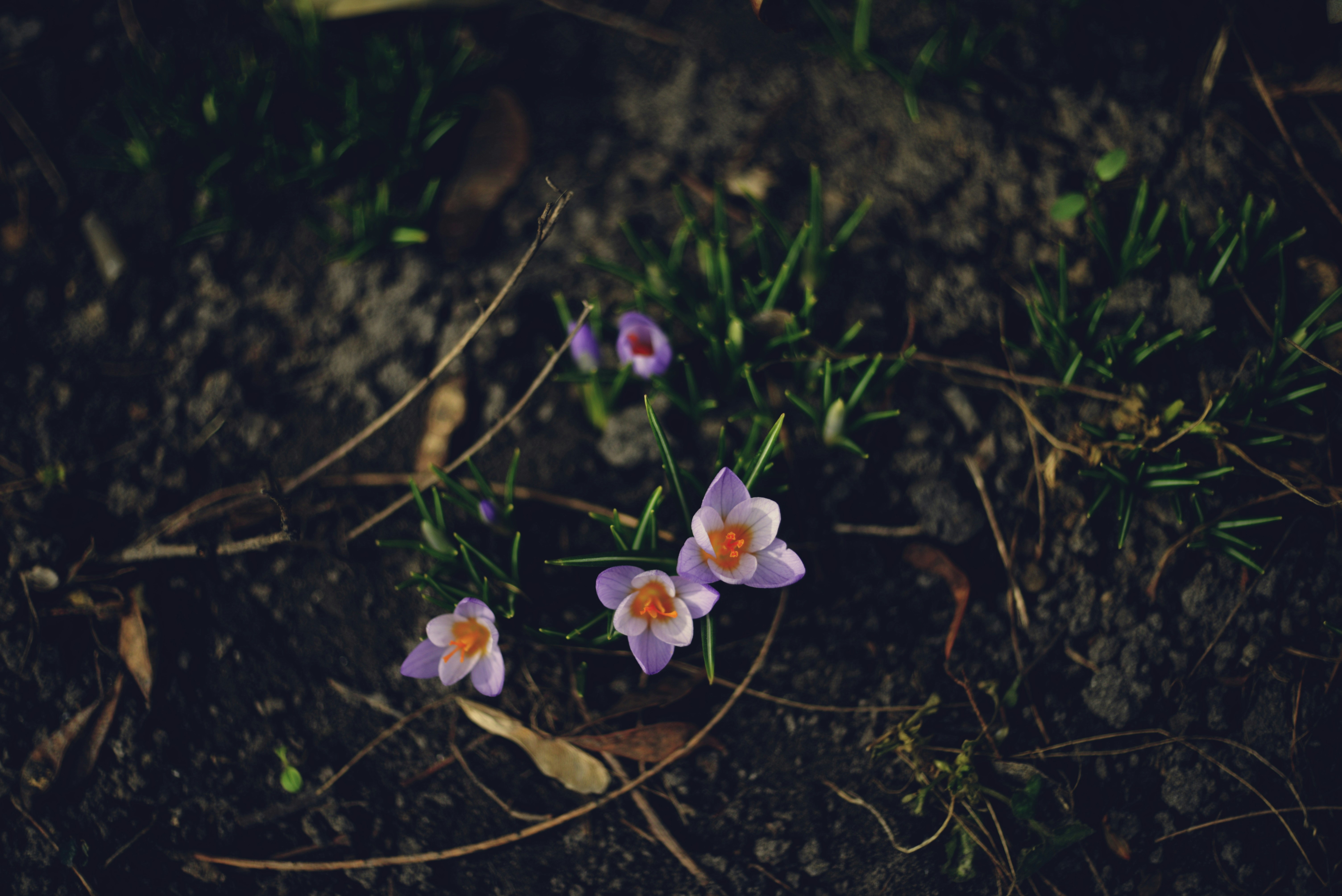 Photo by cherstve_pechivo