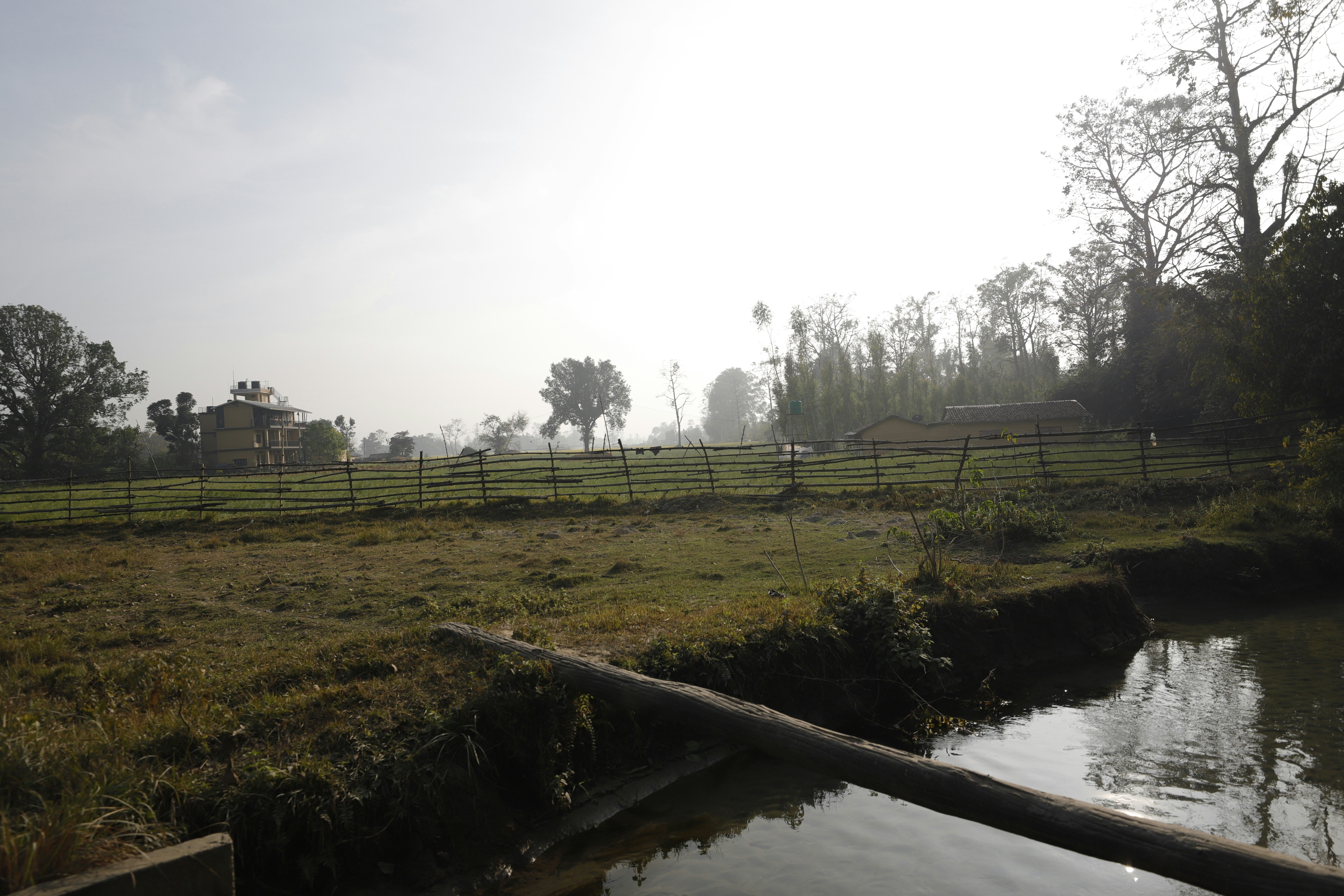 A misty landscape with green fields and trees.