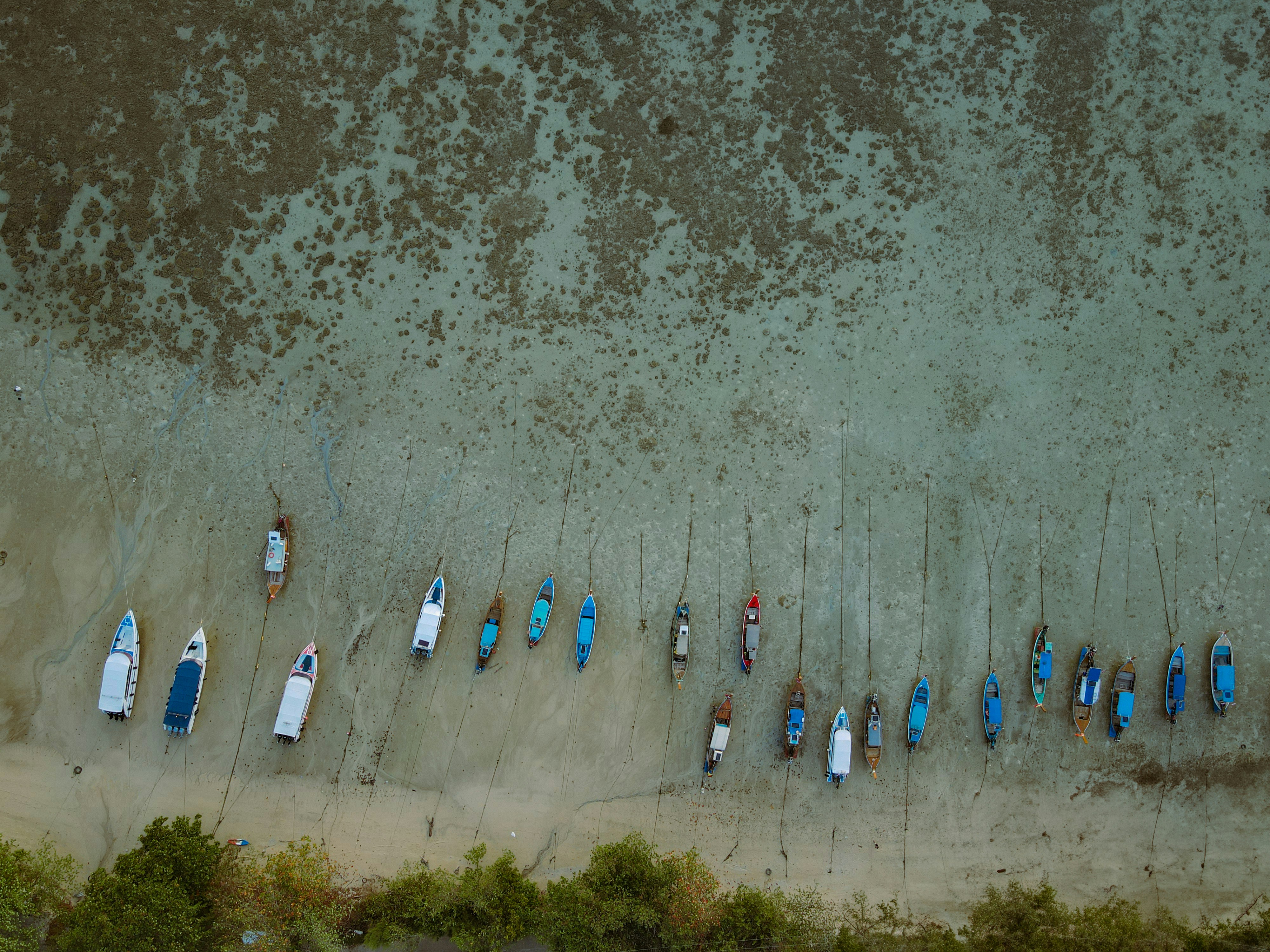 Boats lined up on the shore.