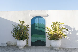 A turquoise door is centered between two cacti.