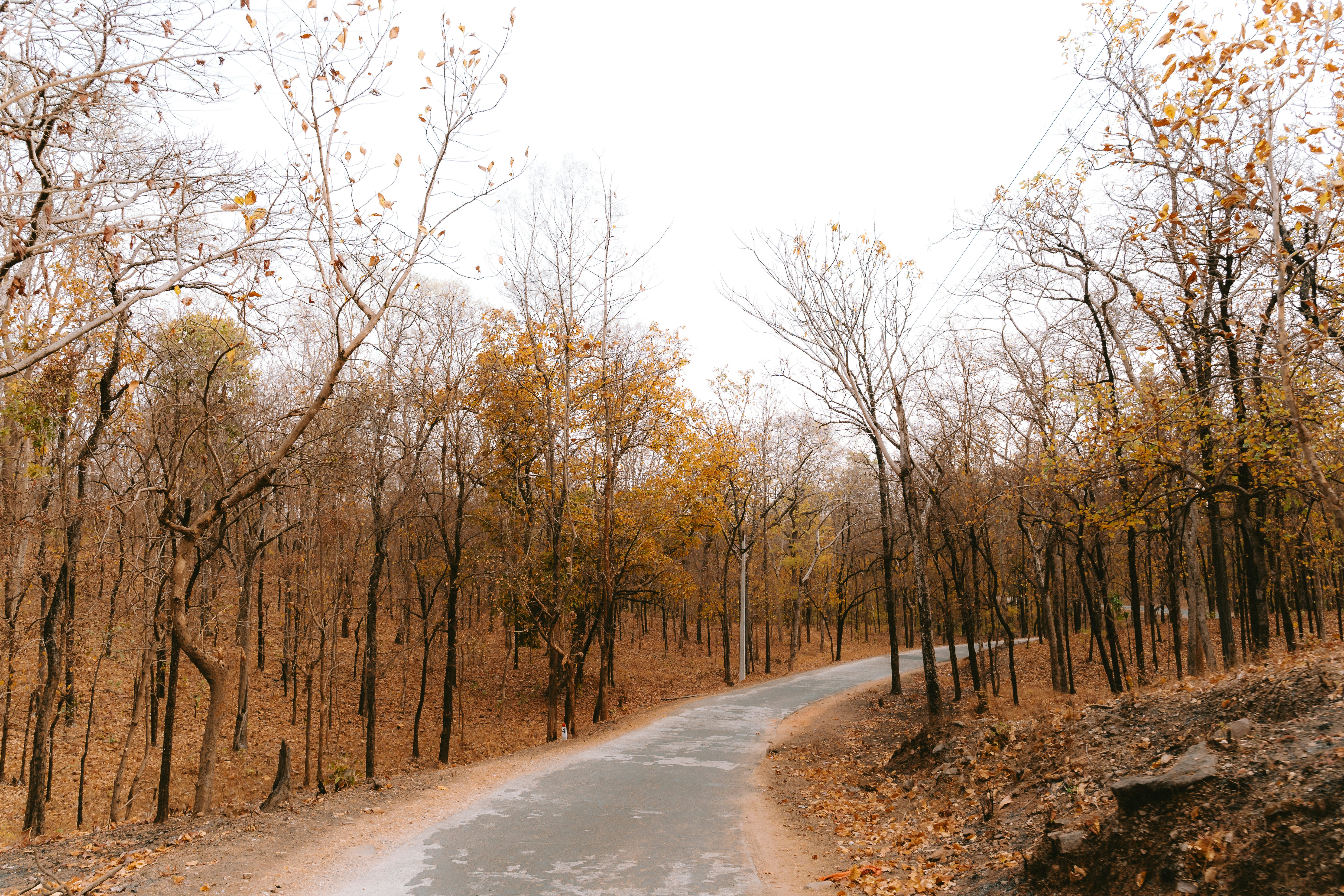 Photo by hh_danishpuri