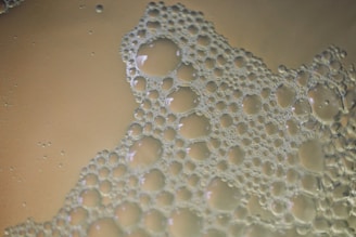 Bubbles are floating on a light brown liquid.