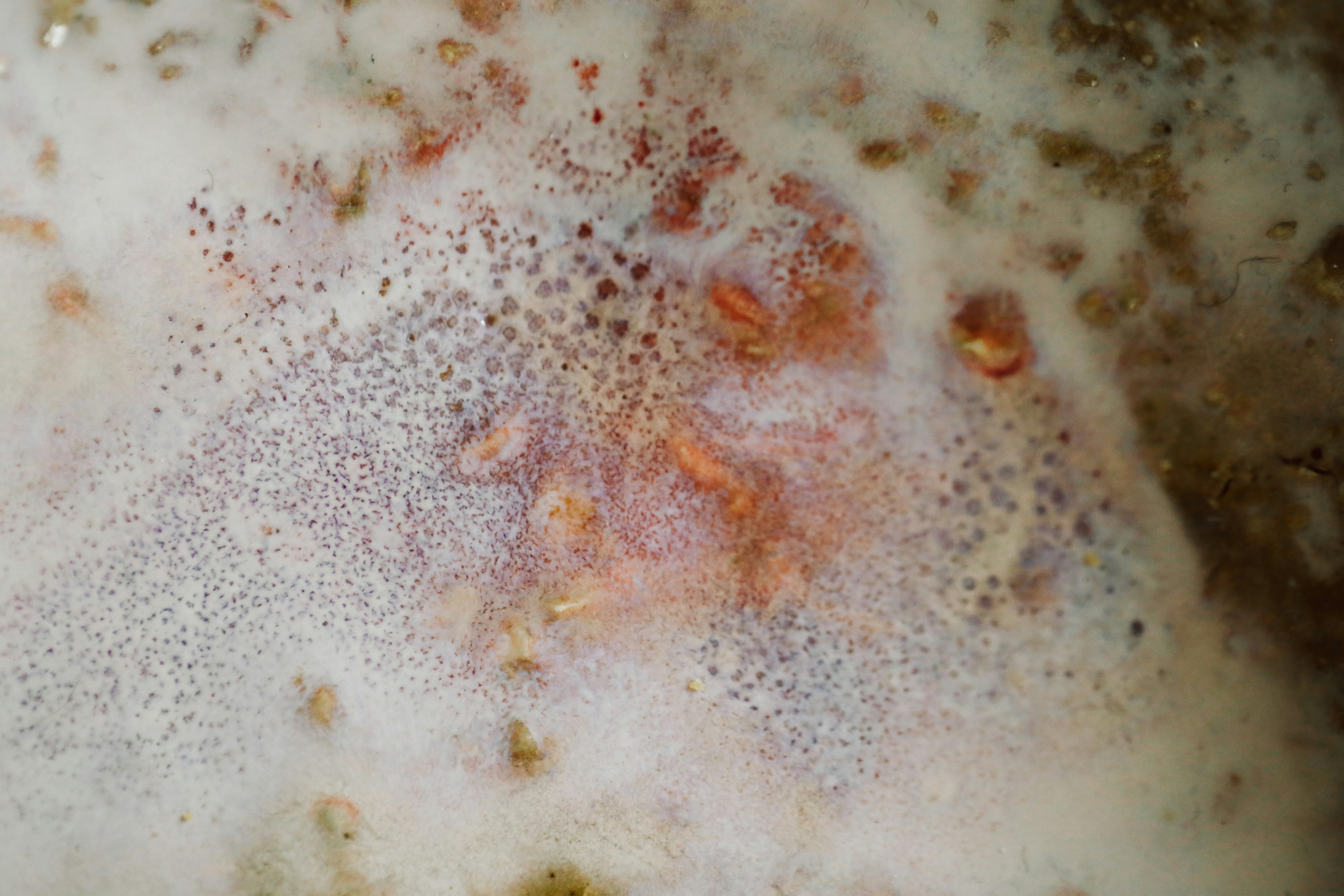 Liquido schiumoso con pezzetti di marrone e arancione.