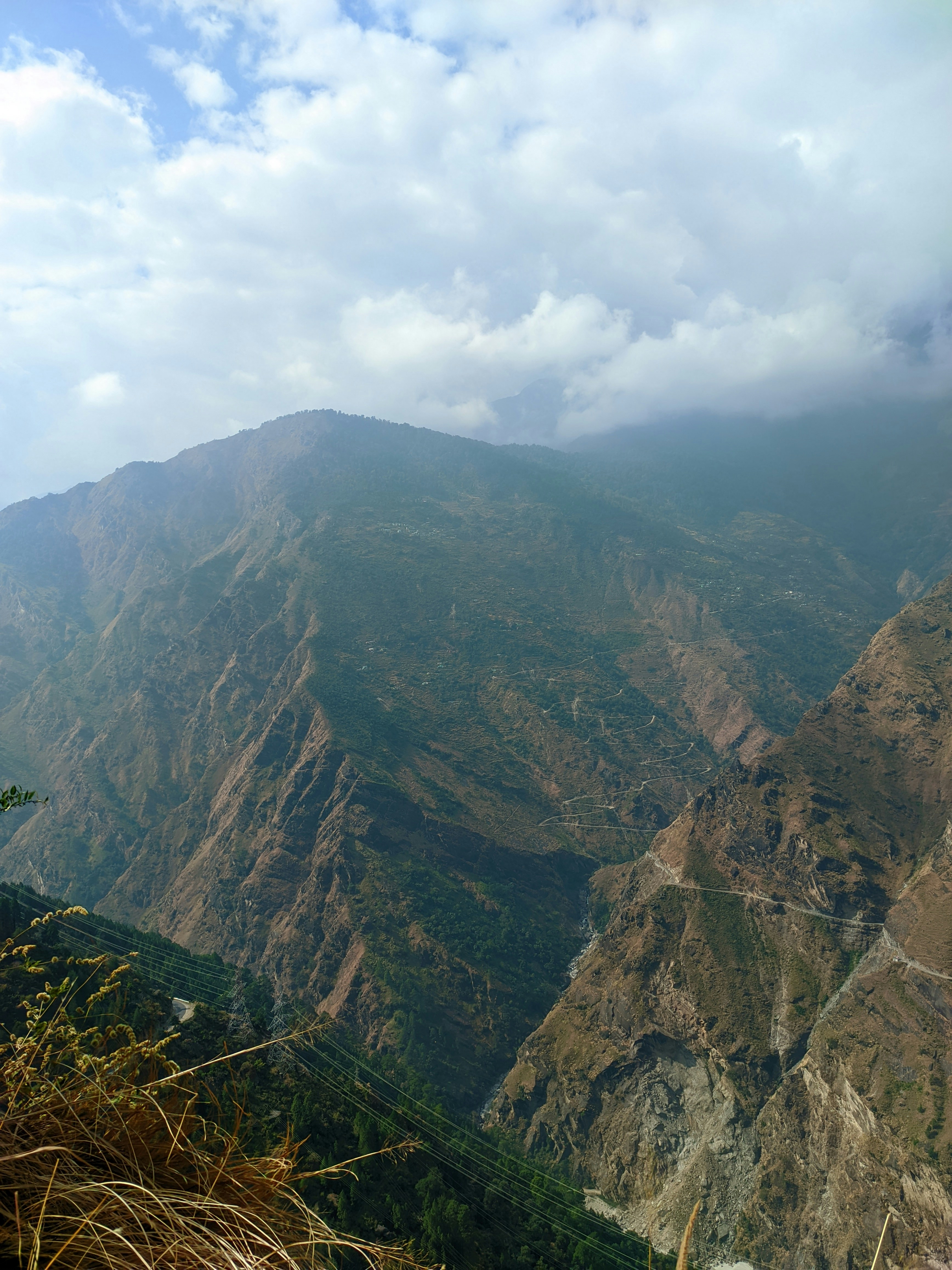 Photo by rohanshah657