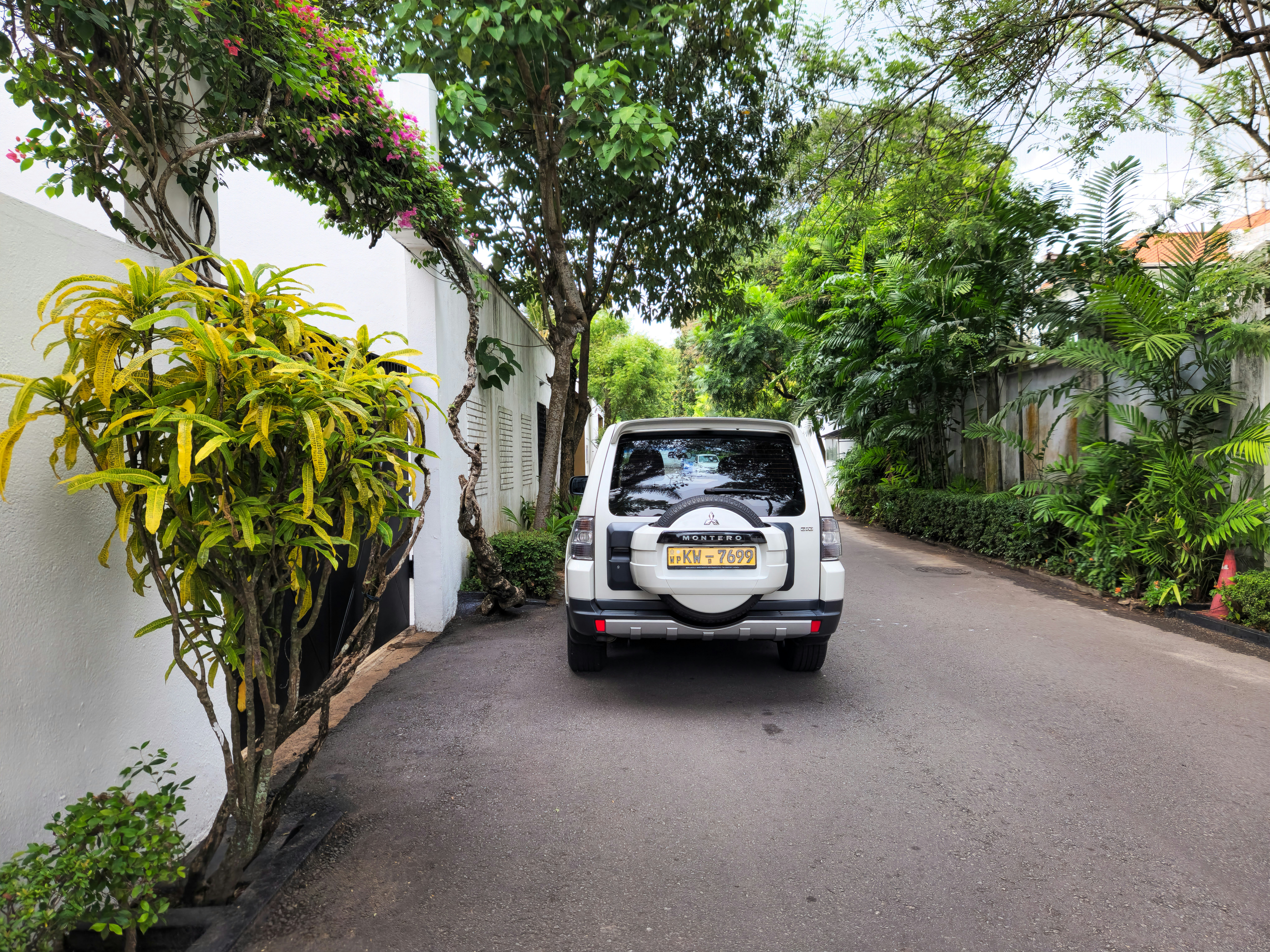 A white suv parks on a road with greenery.