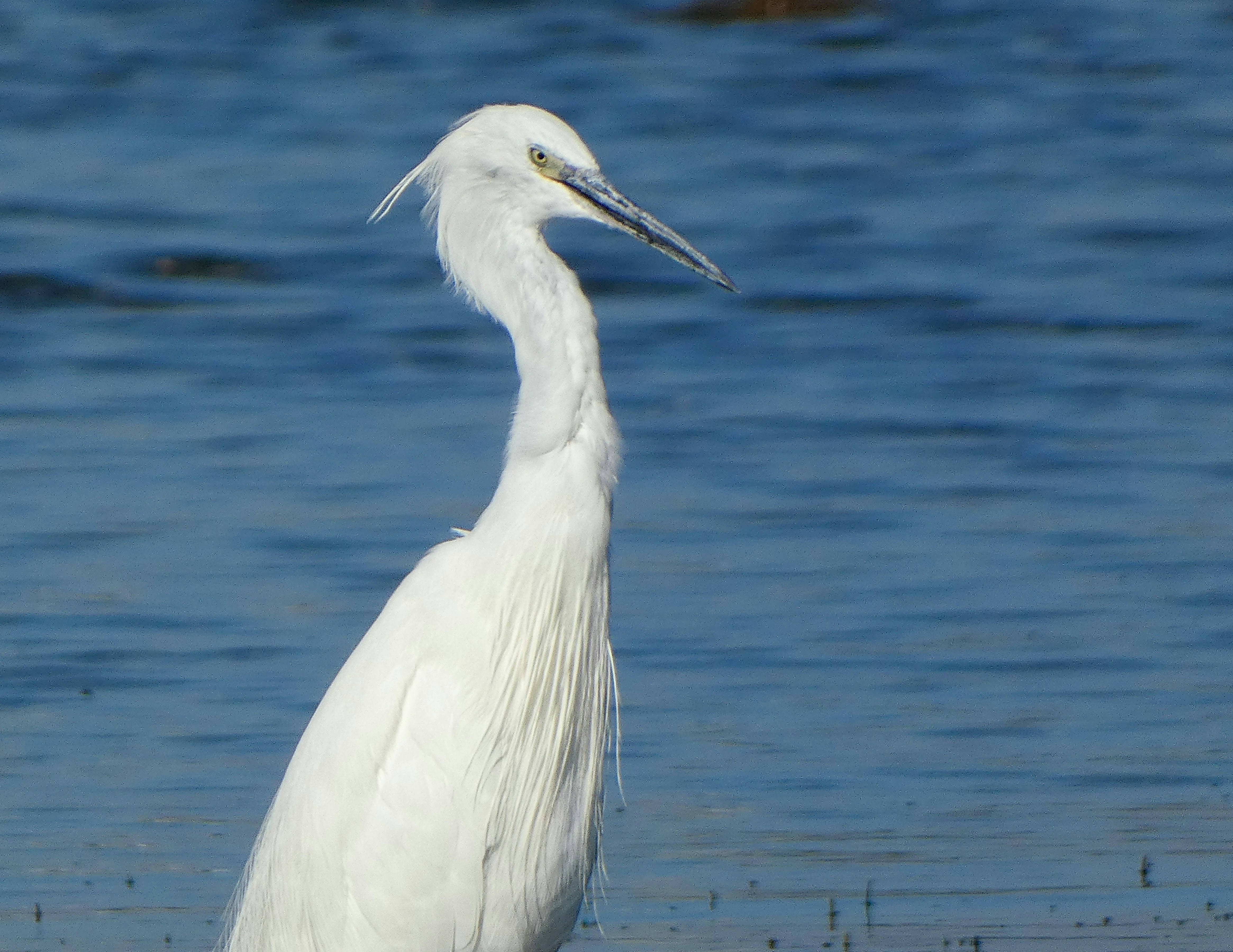 Photo by onderandinc