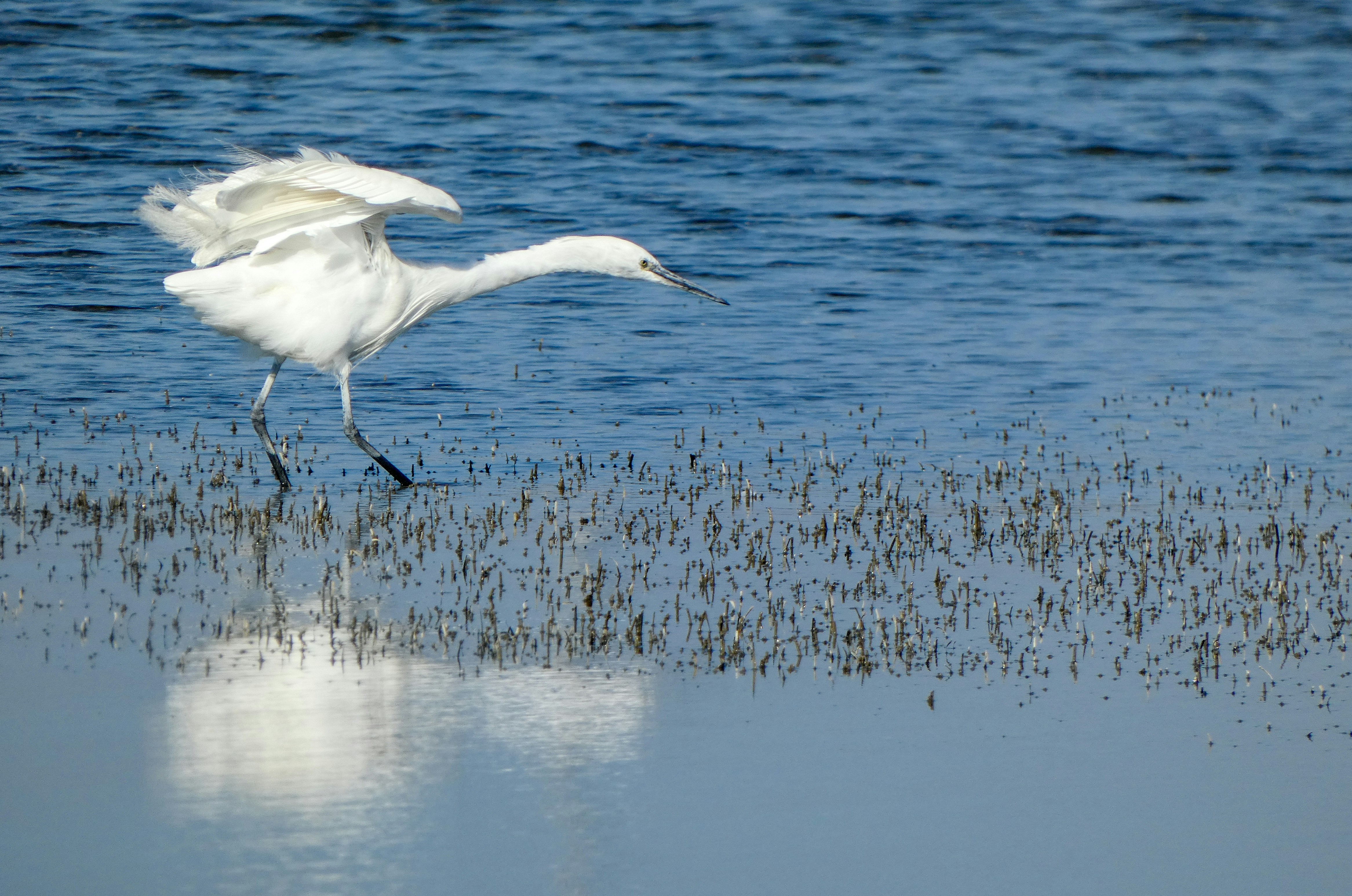 Photo by onderandinc