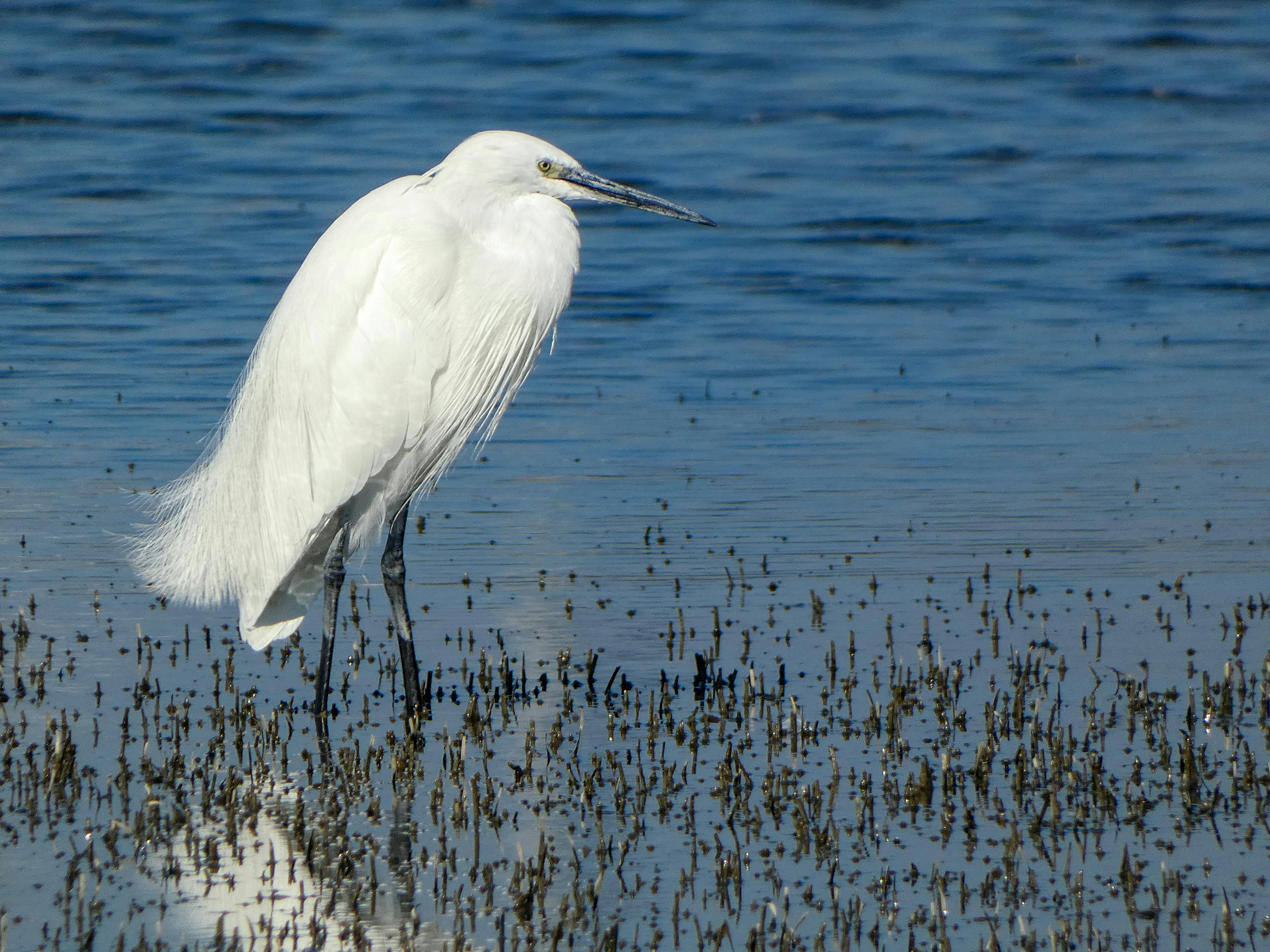 Photo by onderandinc