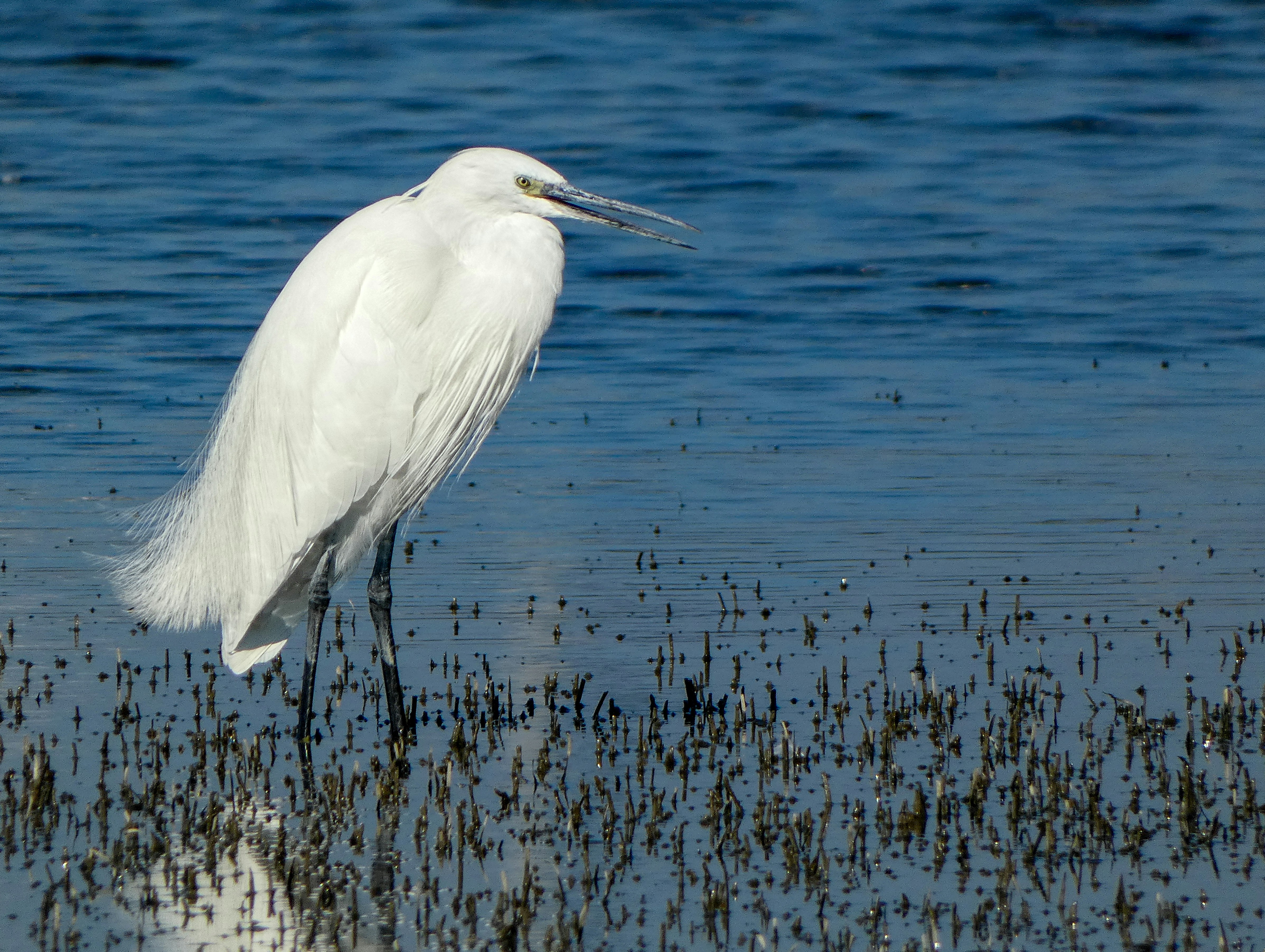 Photo by onderandinc