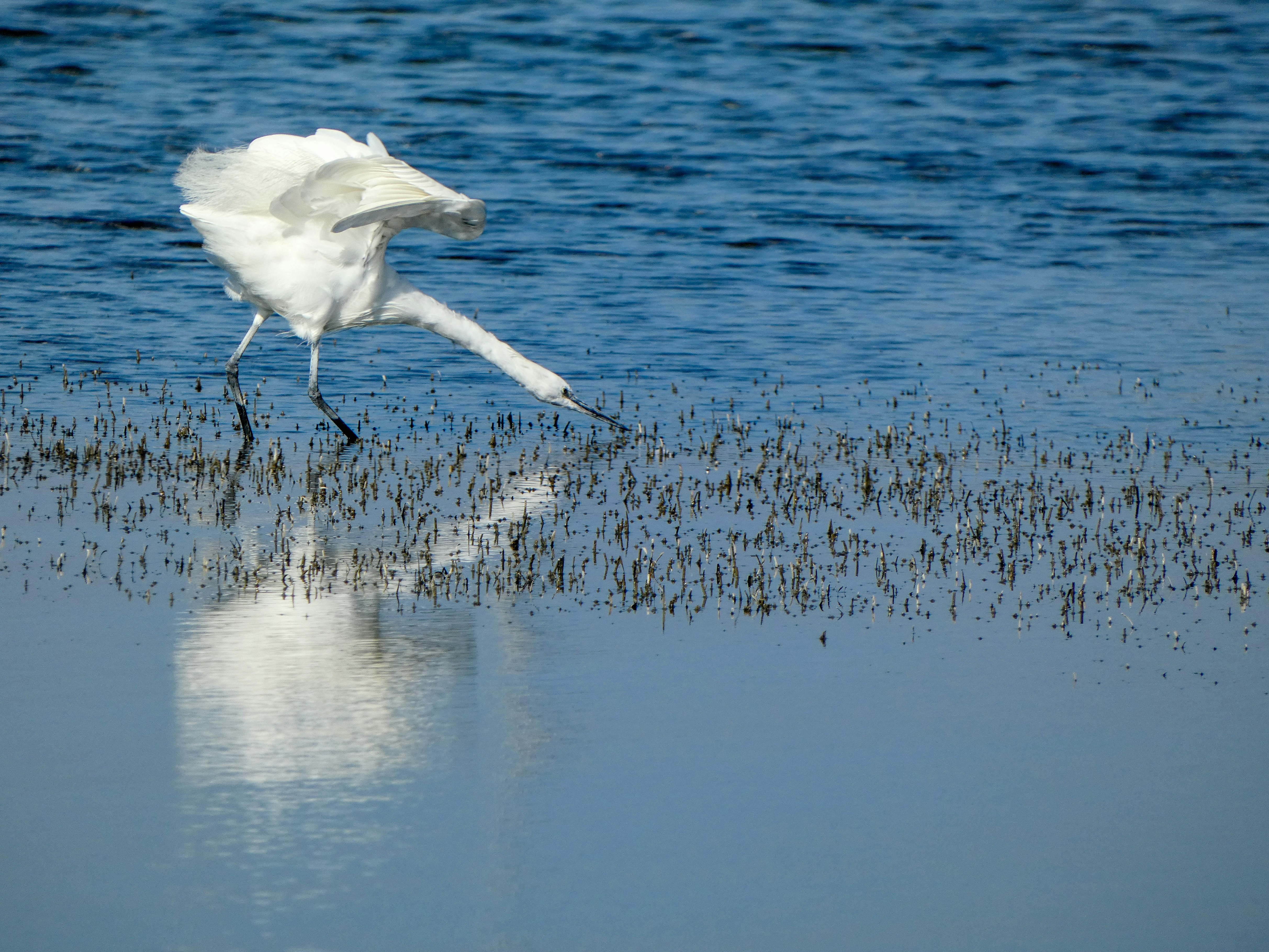 Photo by onderandinc