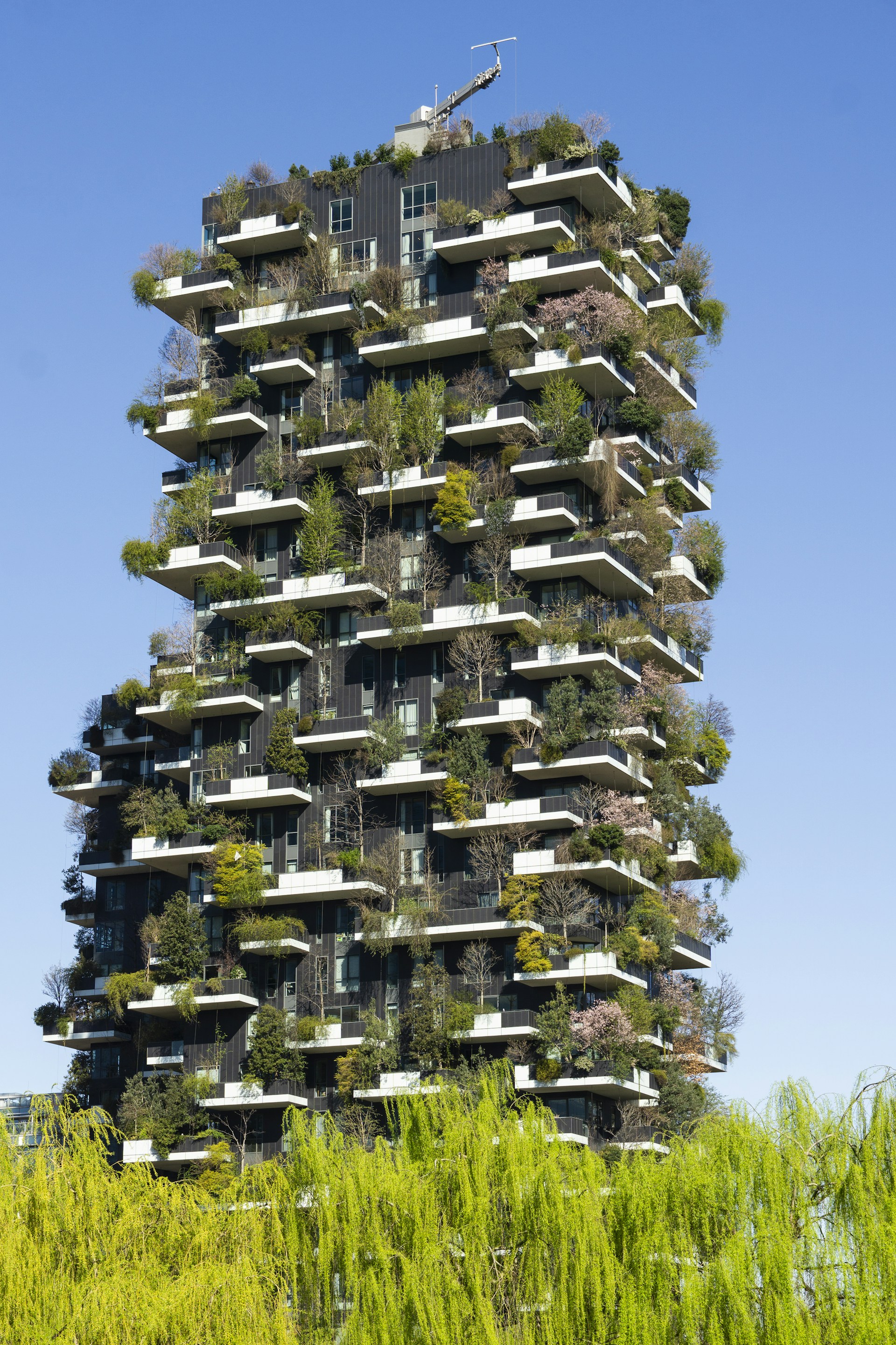Greenery covers an apartment building's balconies.