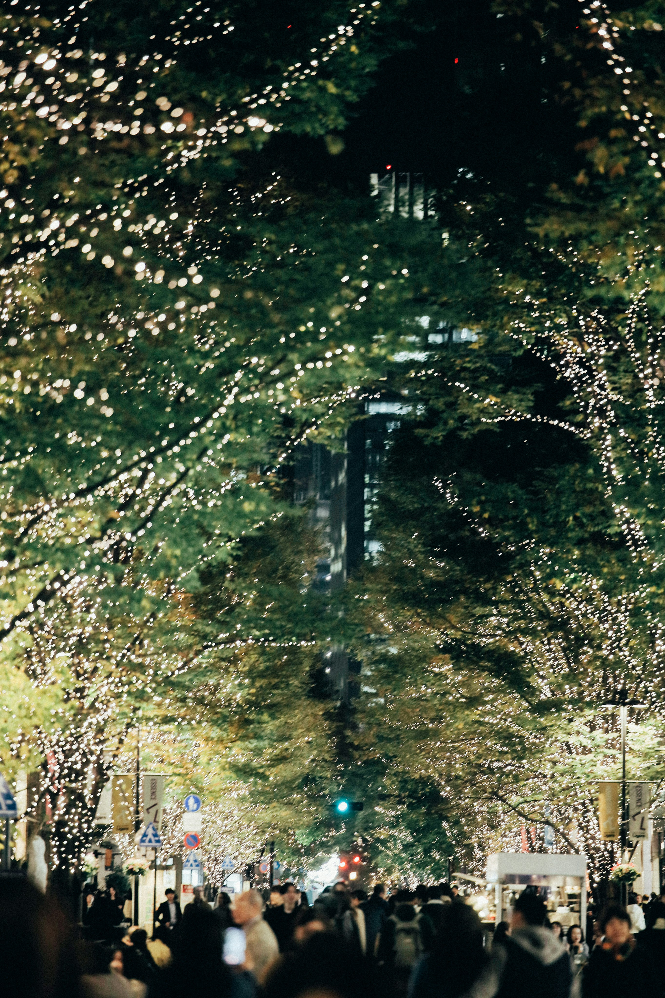 Photo by tsuyoshikozu