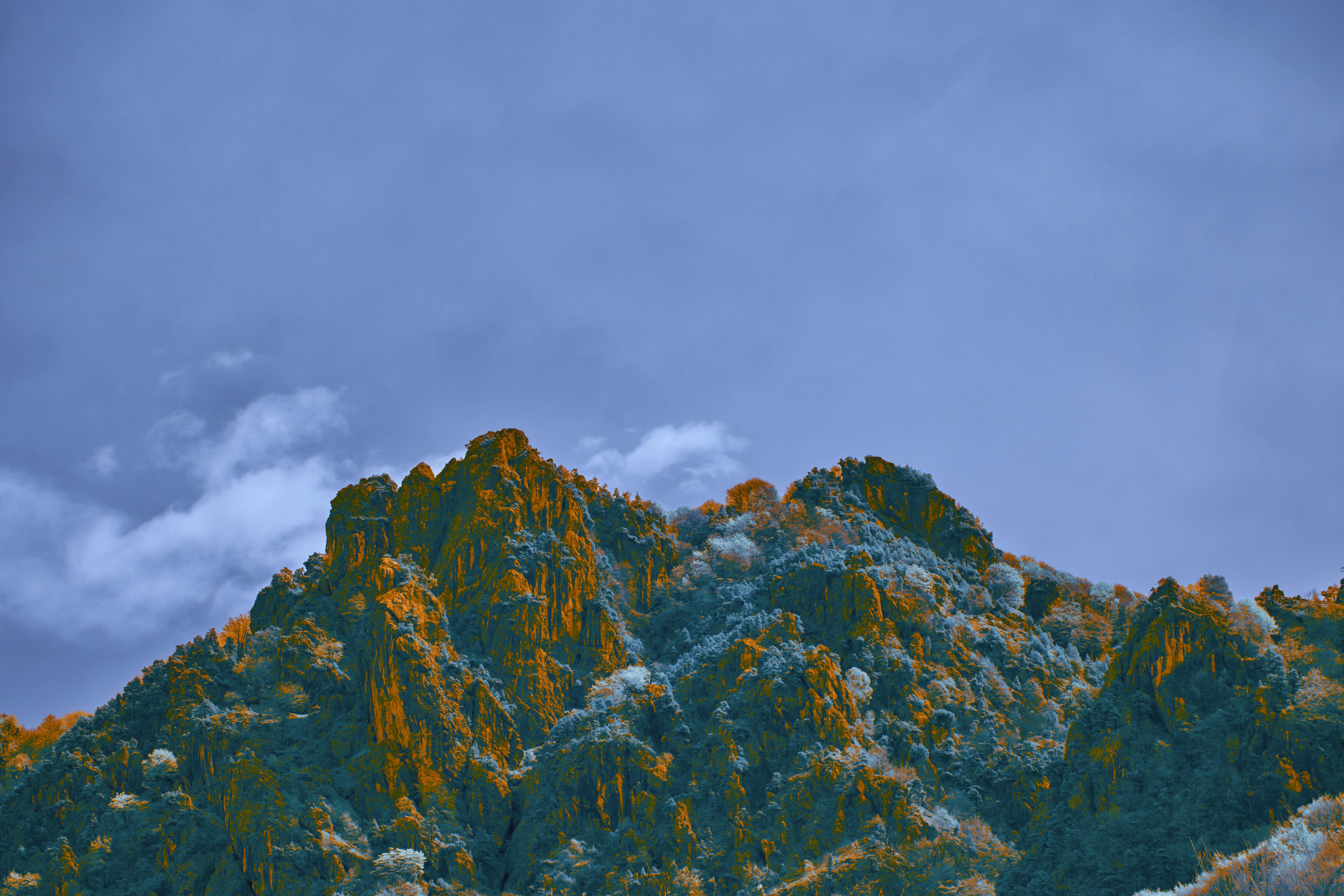 Photo by wolfgang_hasselmann