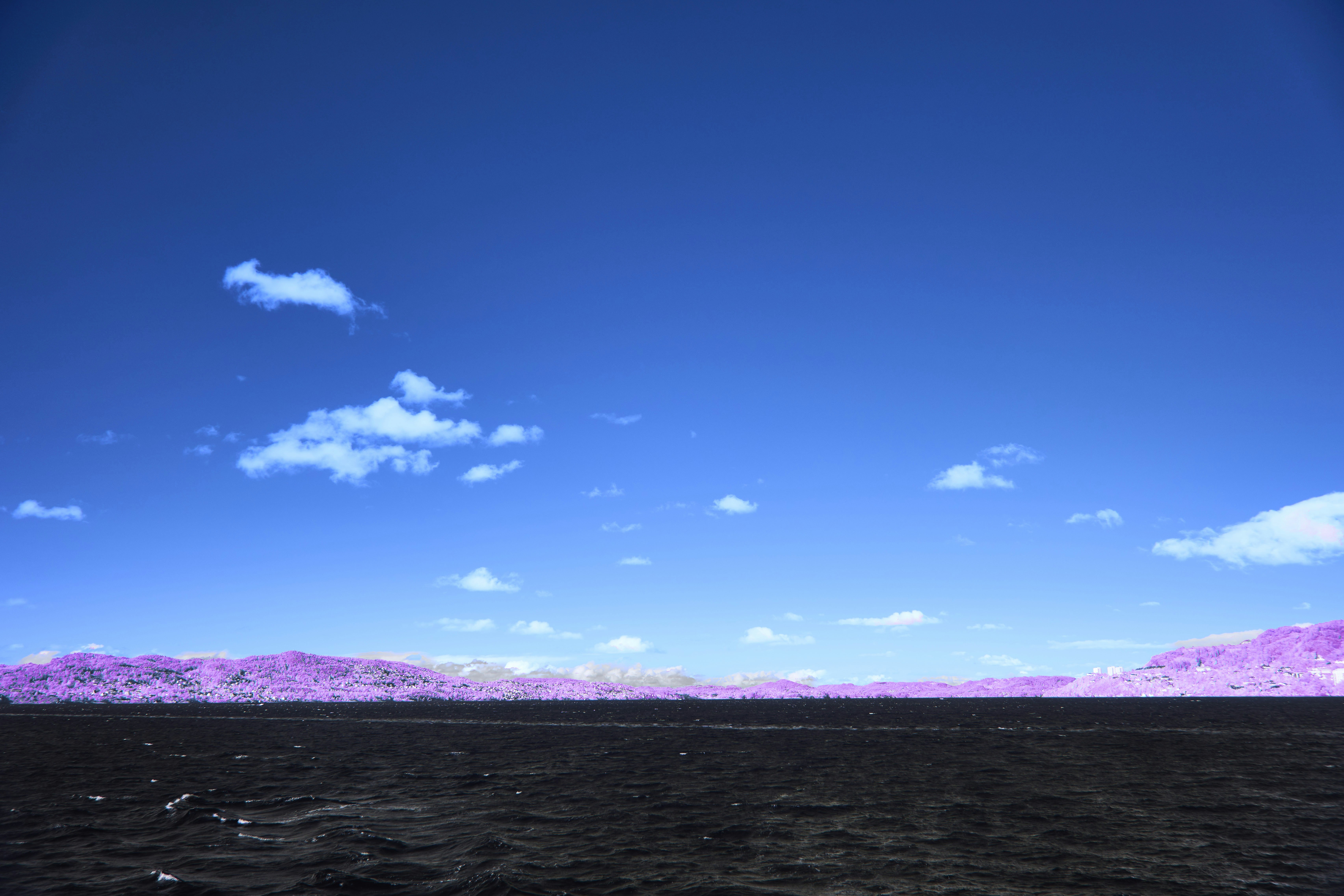 Photo by wolfgang_hasselmann