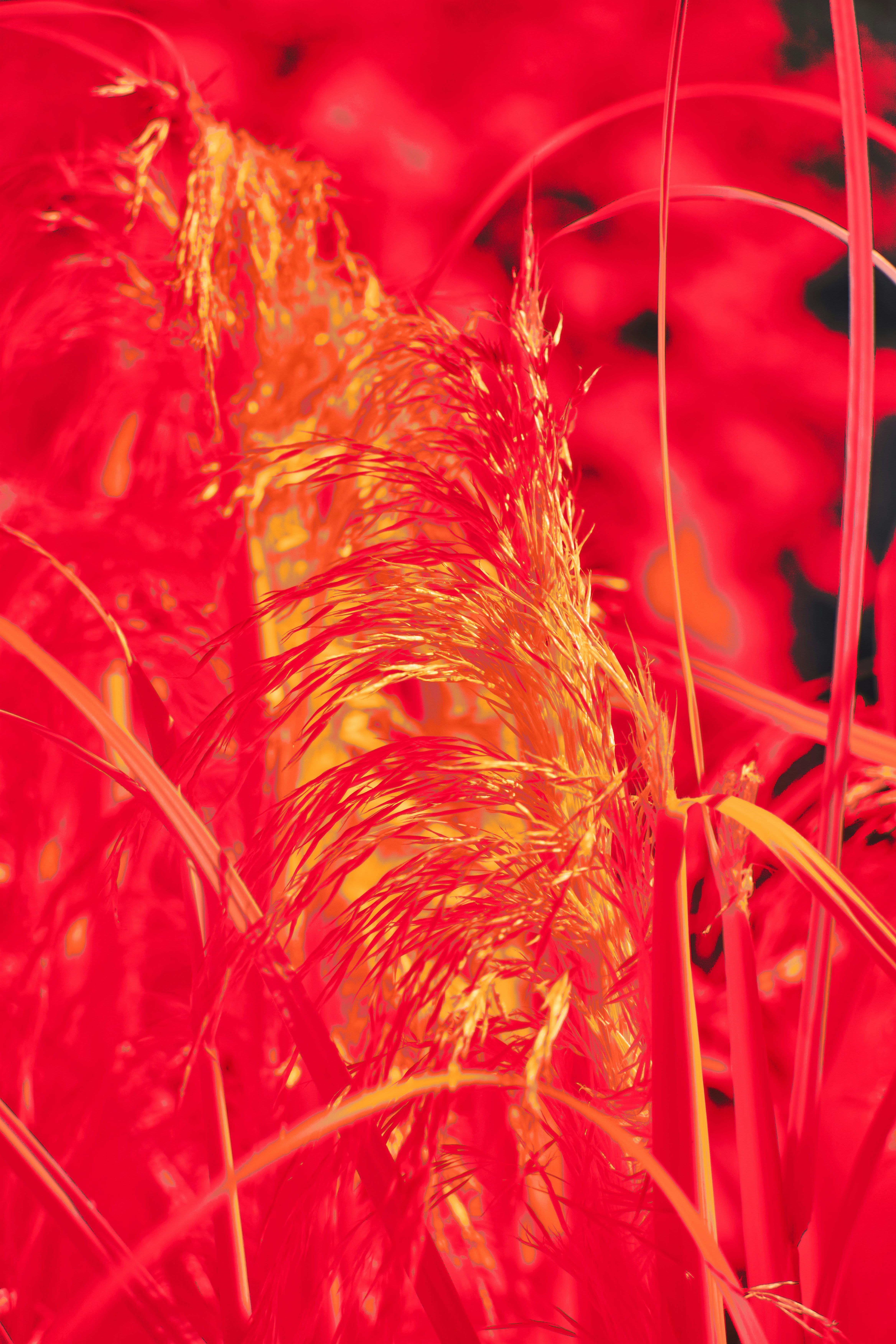 Bugün öğrendim ki: İnsan dokularında bulunan...