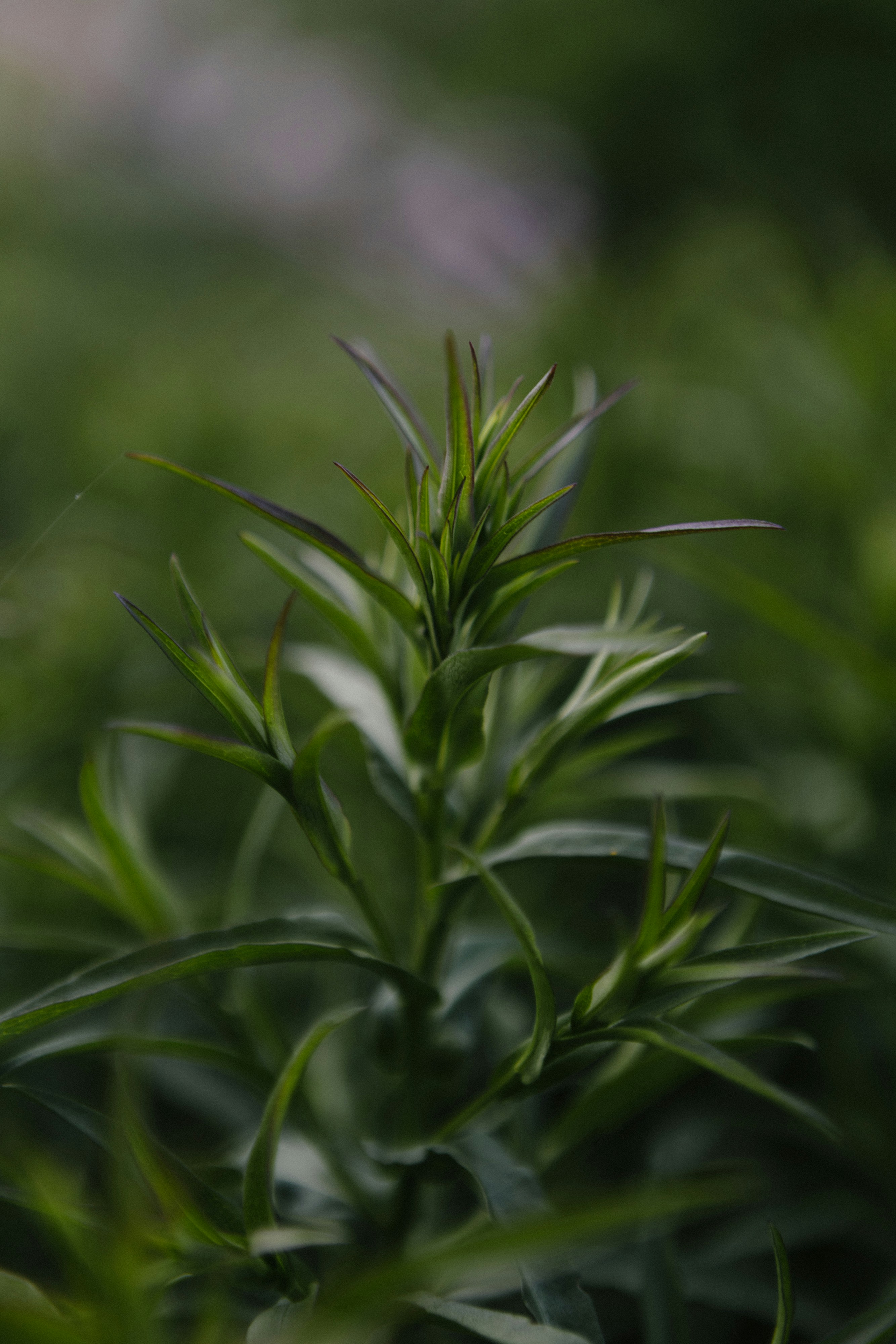 Photo by korobovaphoto