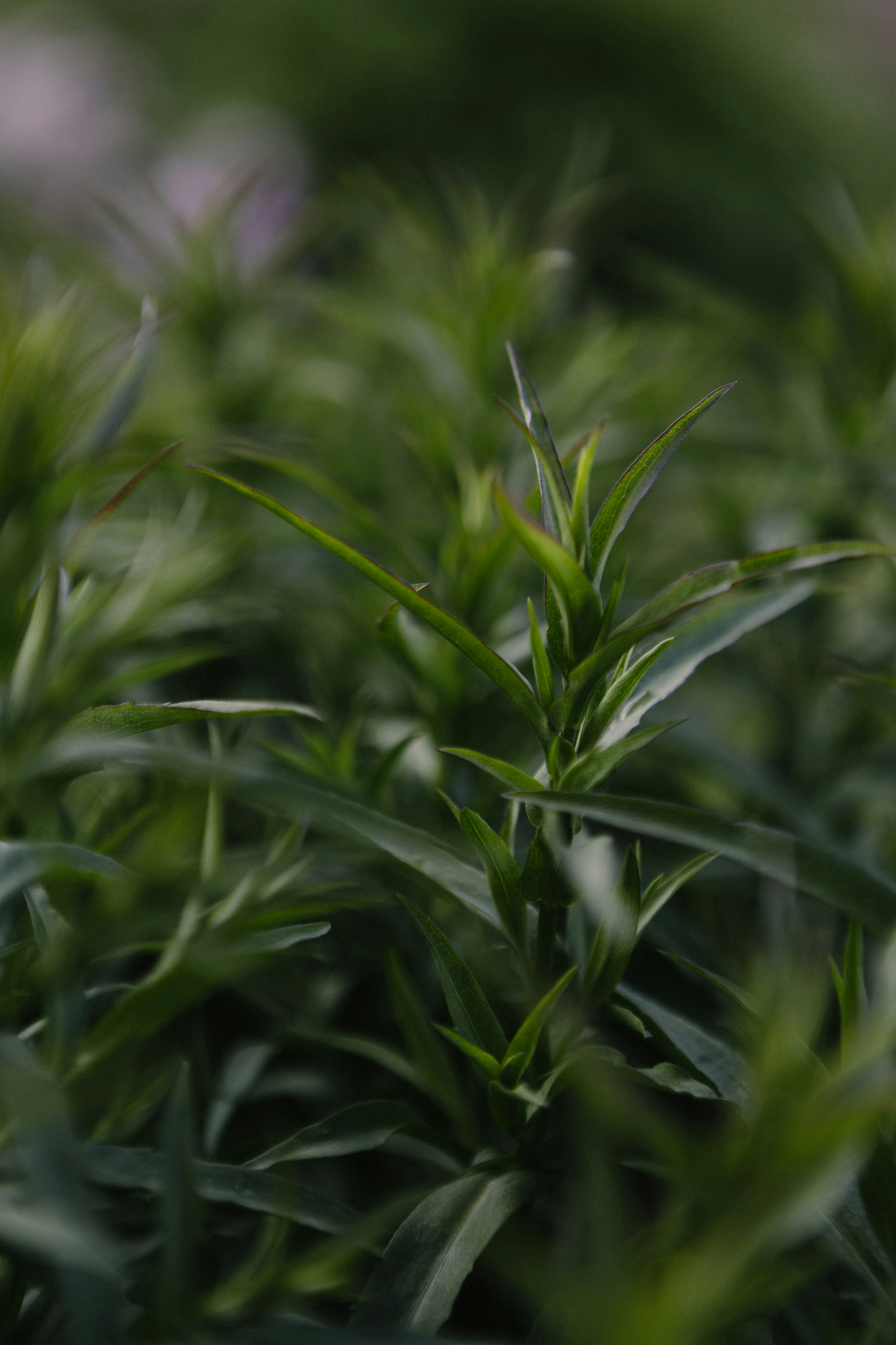 Photo by korobovaphoto