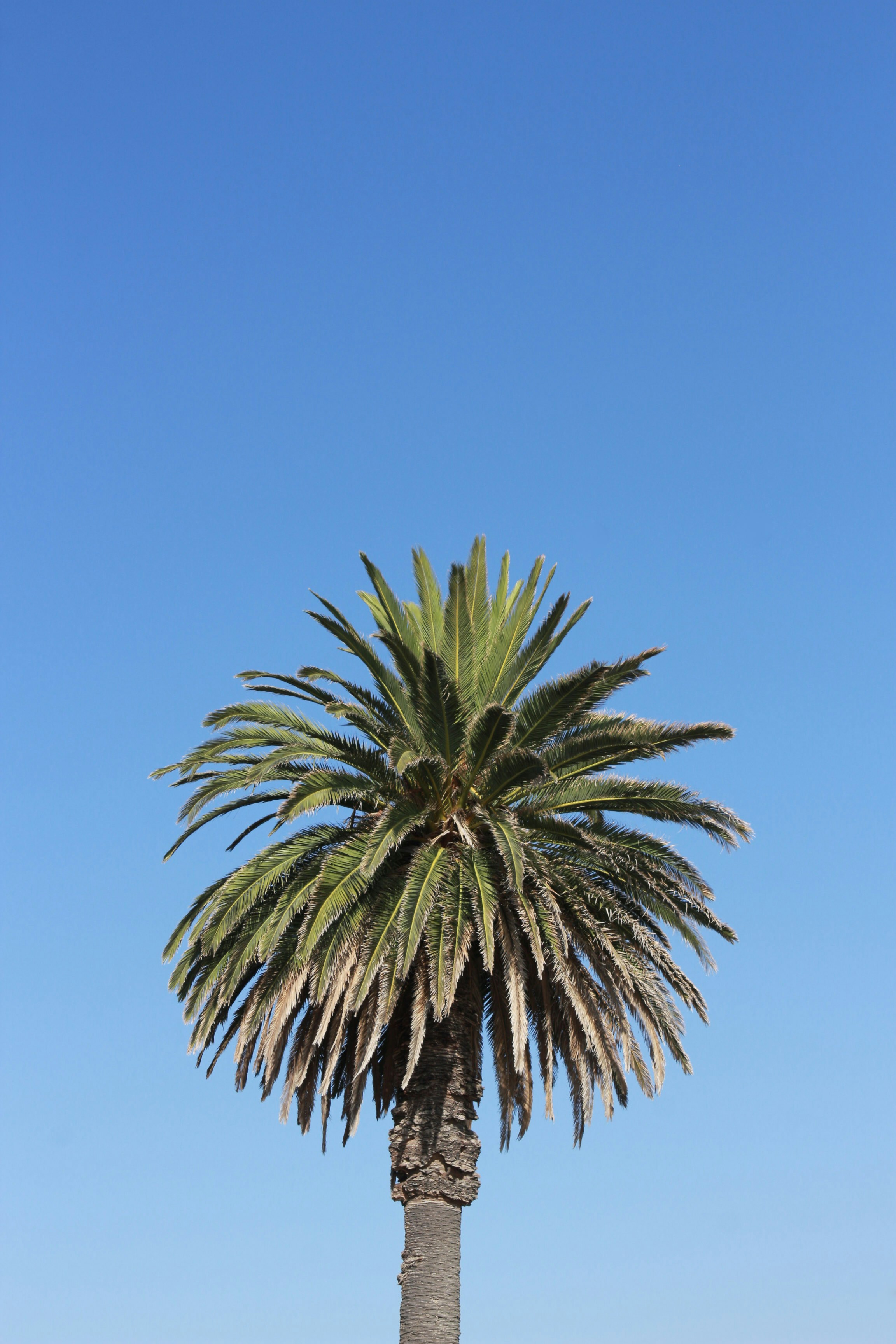 Photo by charmaine_h