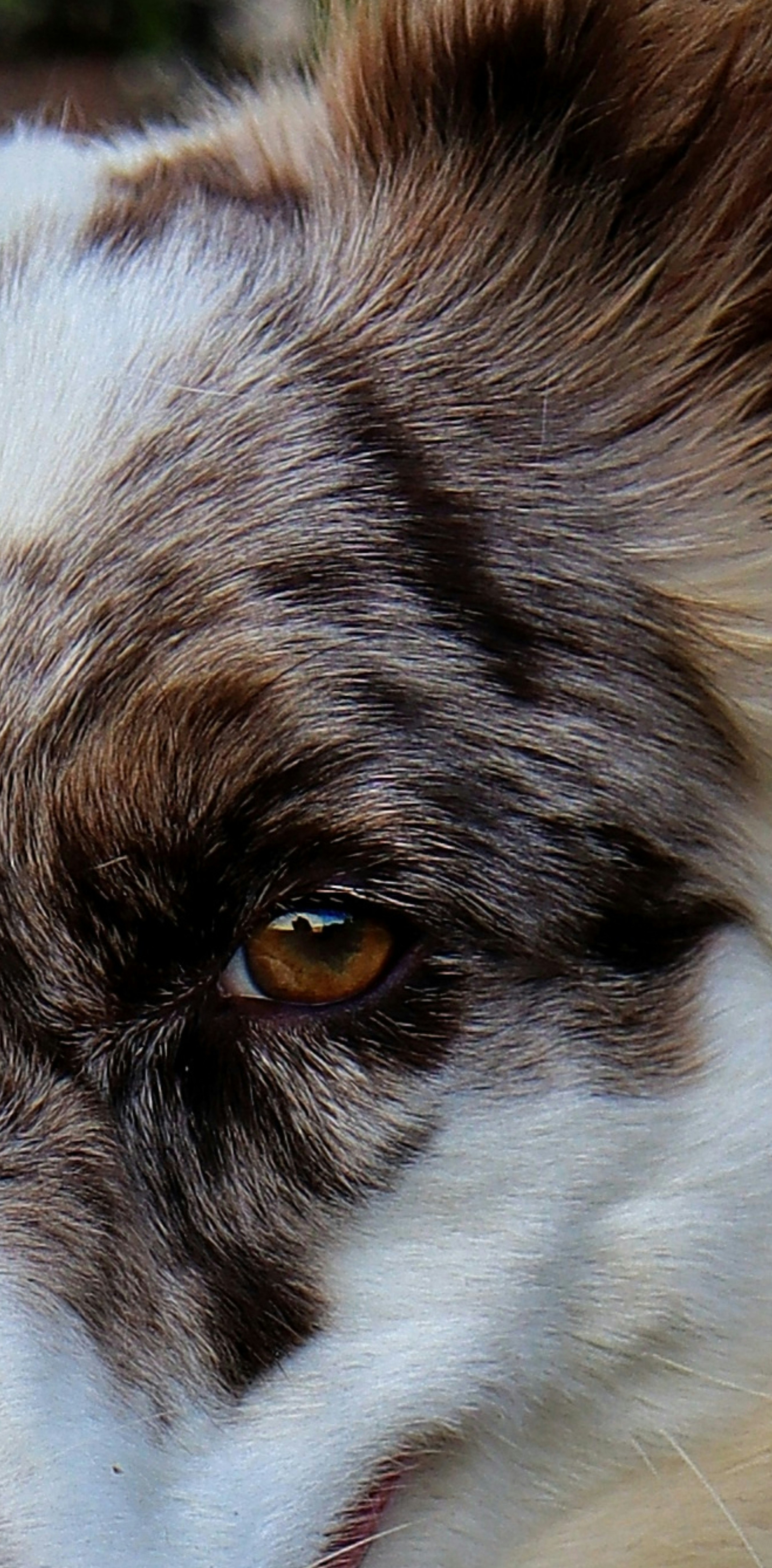 Photo by caio_delarolle