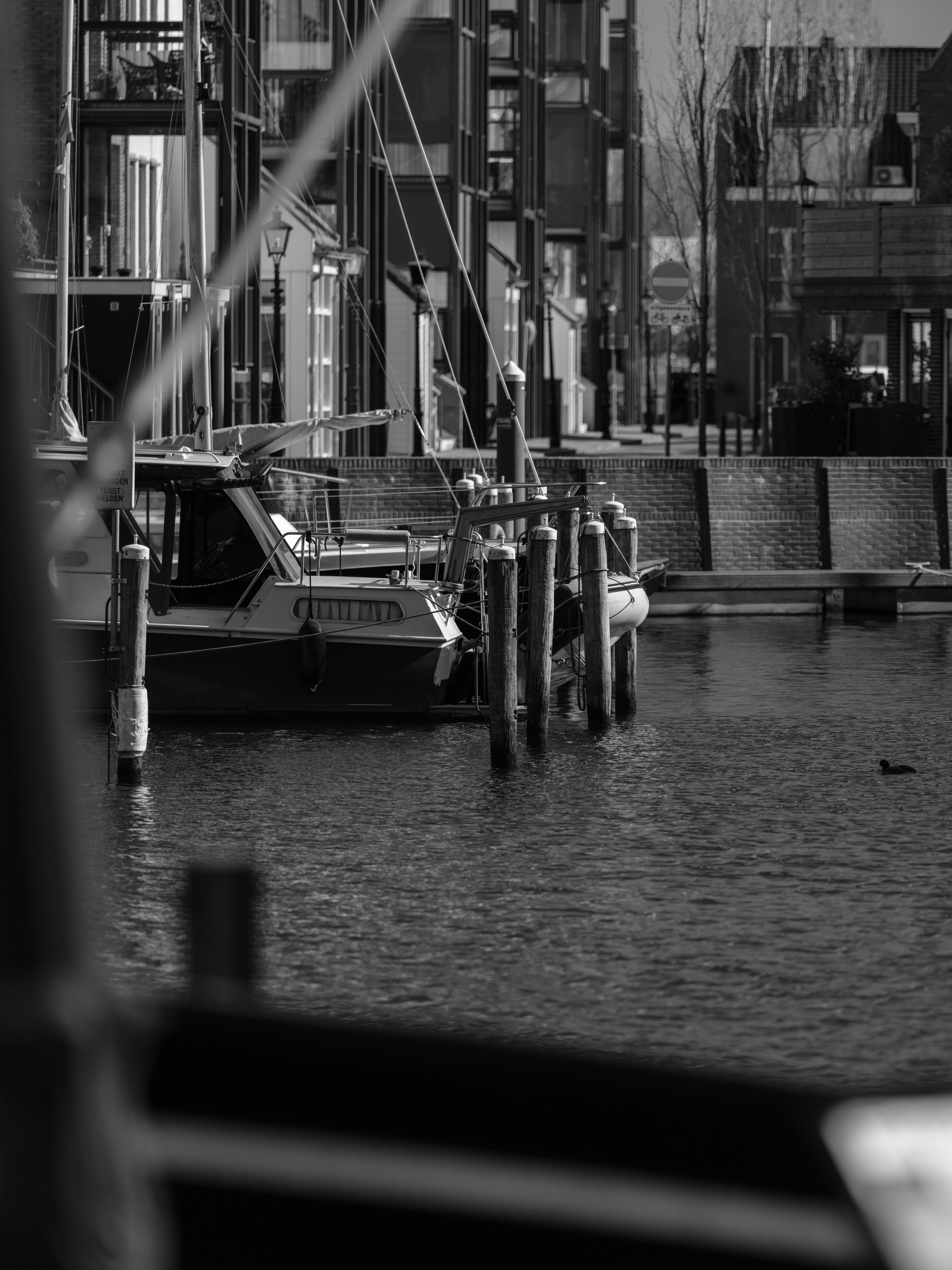 Photo by haberdoedas